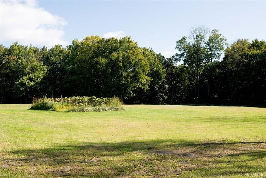 Yard