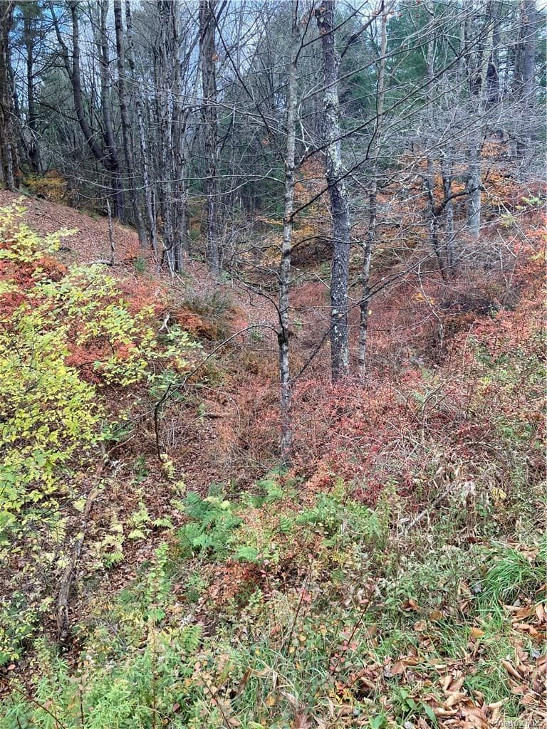 Photo 22