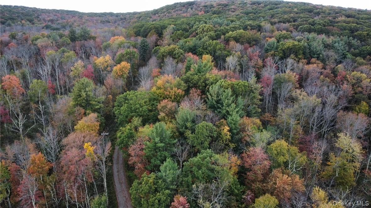 Other