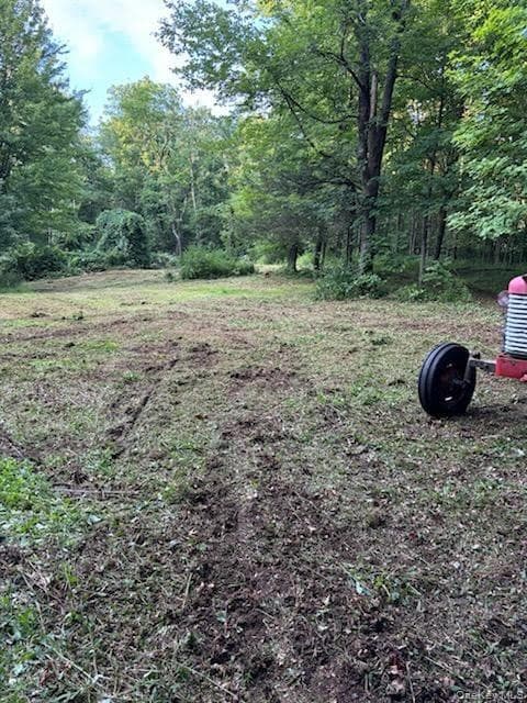 Yard