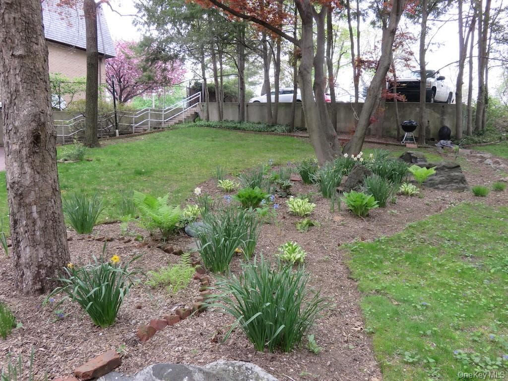 Yard