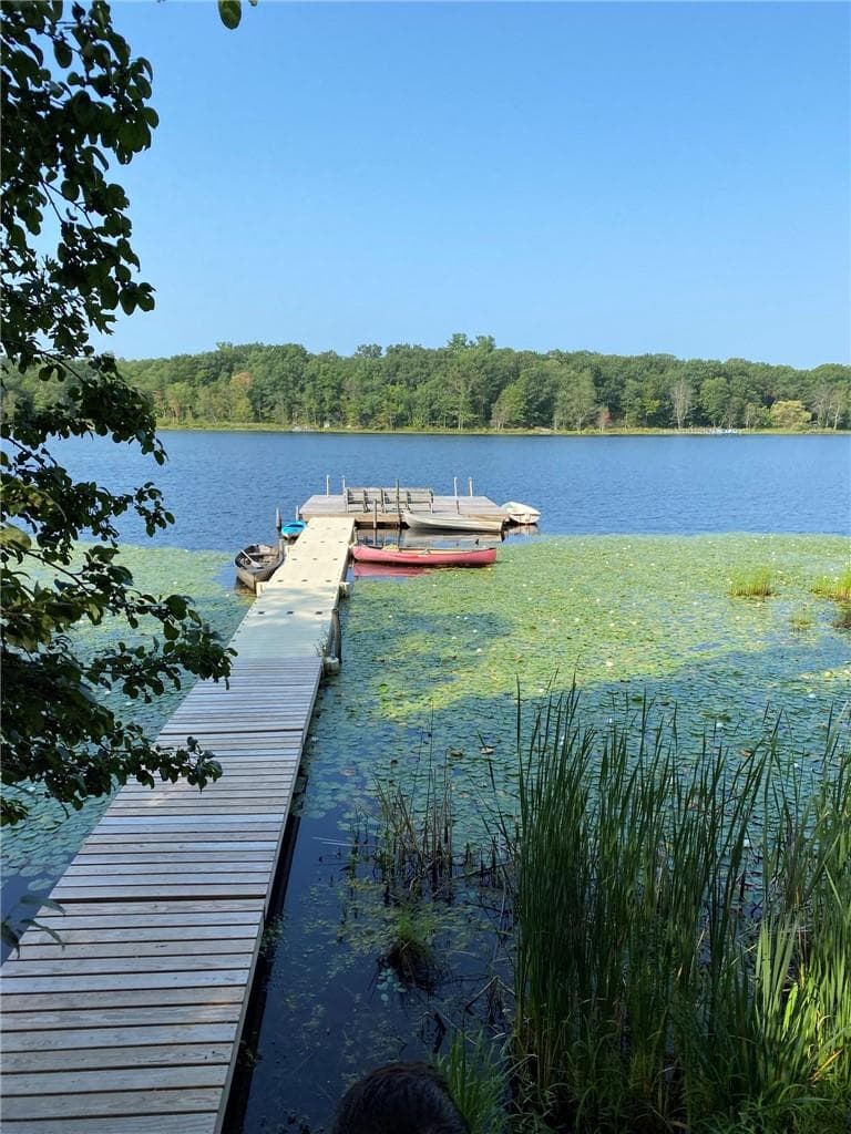 Dock