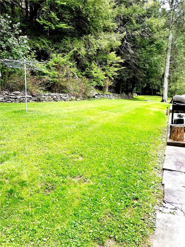 Yard
