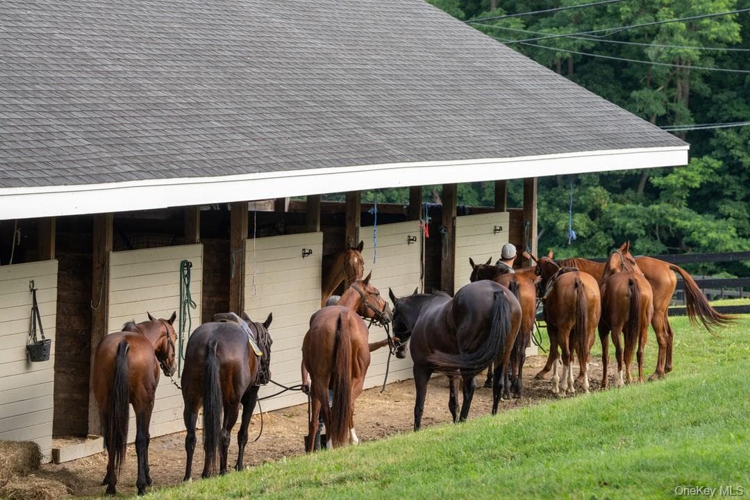 Stable