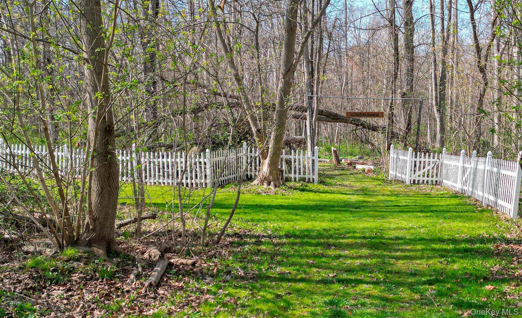 Yard