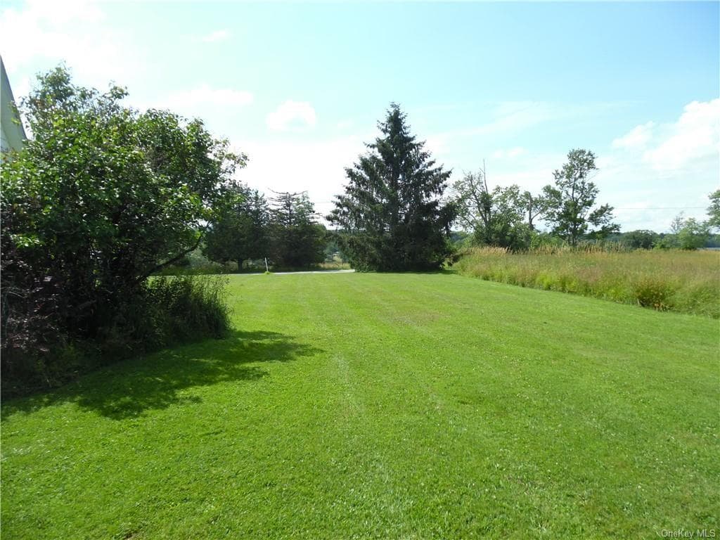 Yard