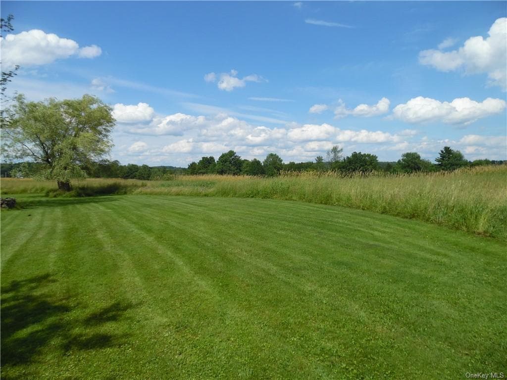 Yard