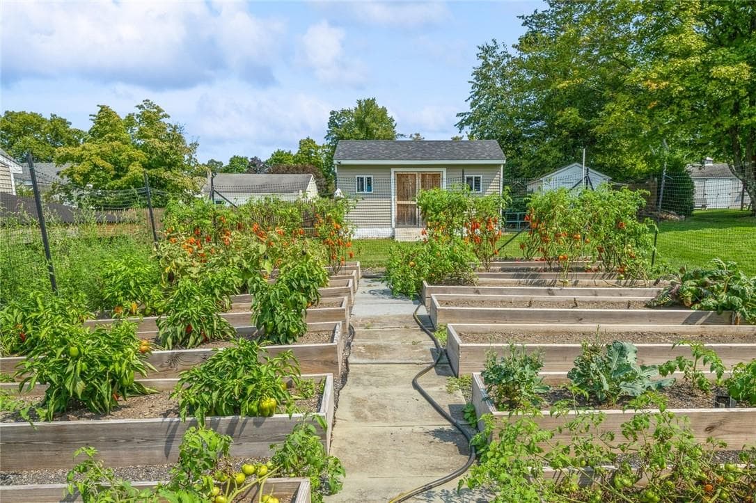 Garden