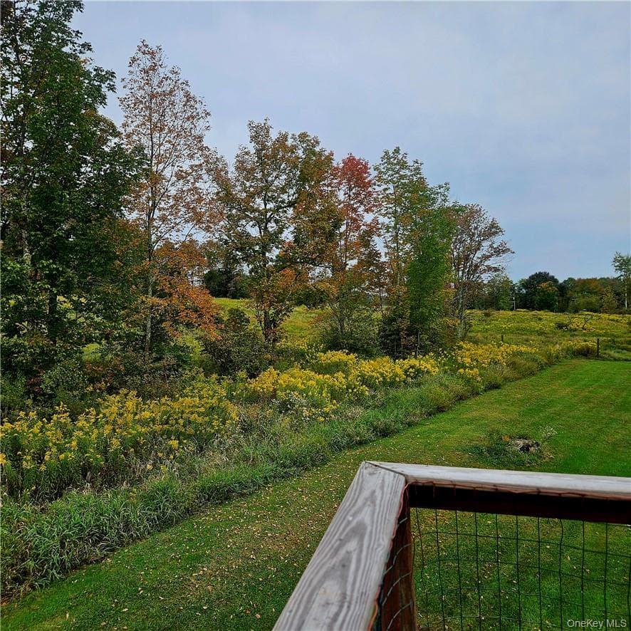 Yard