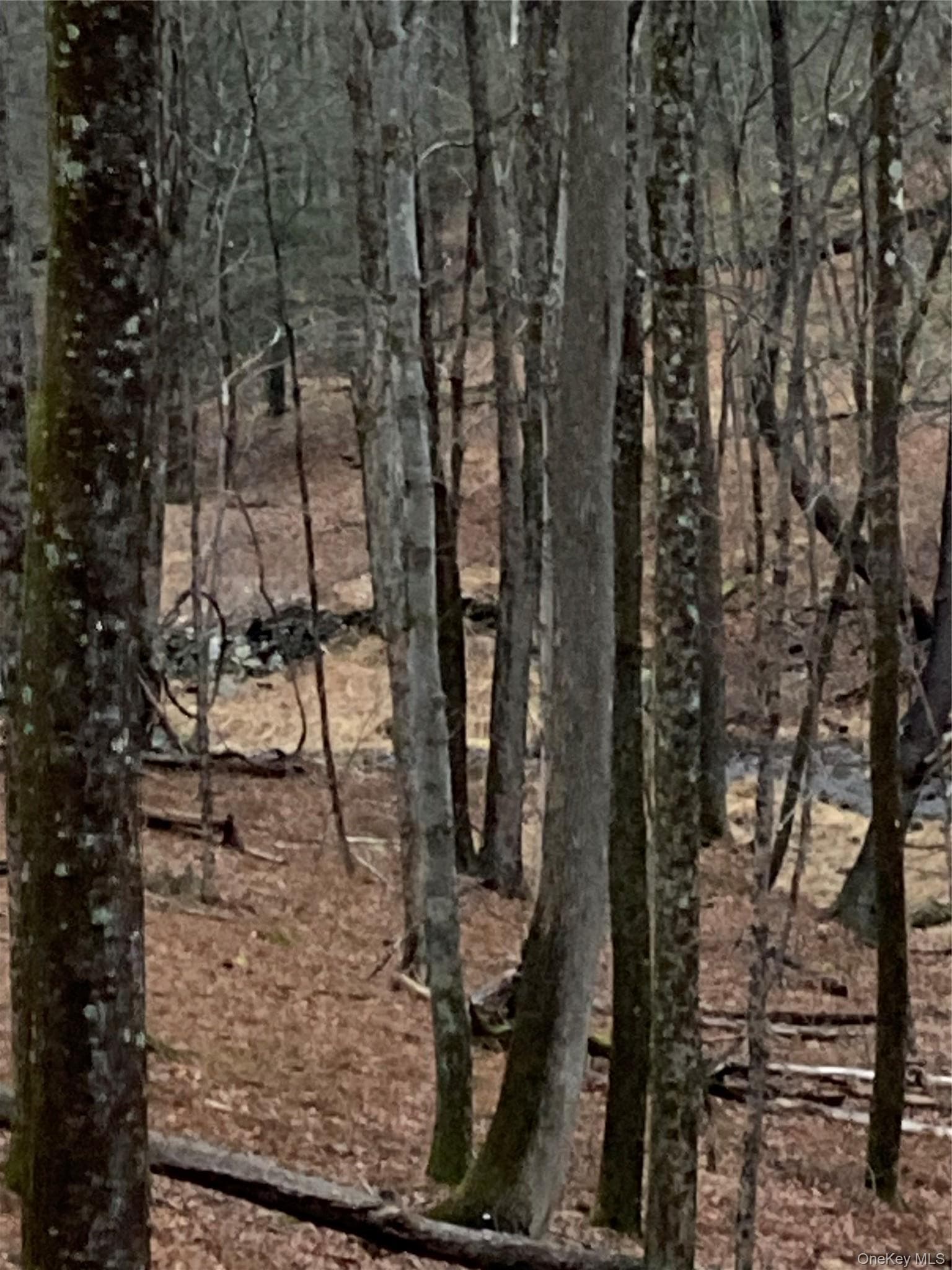 Other
