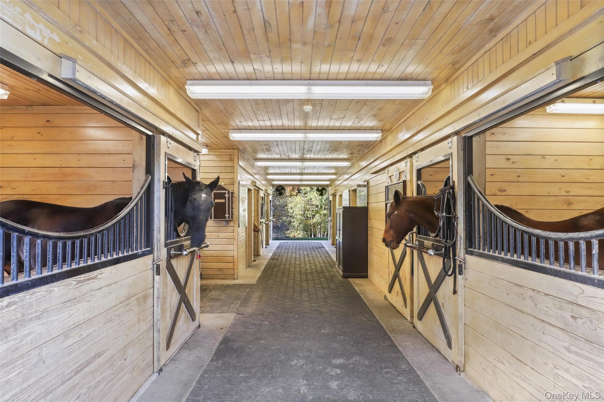 Stable