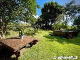 Photo 28