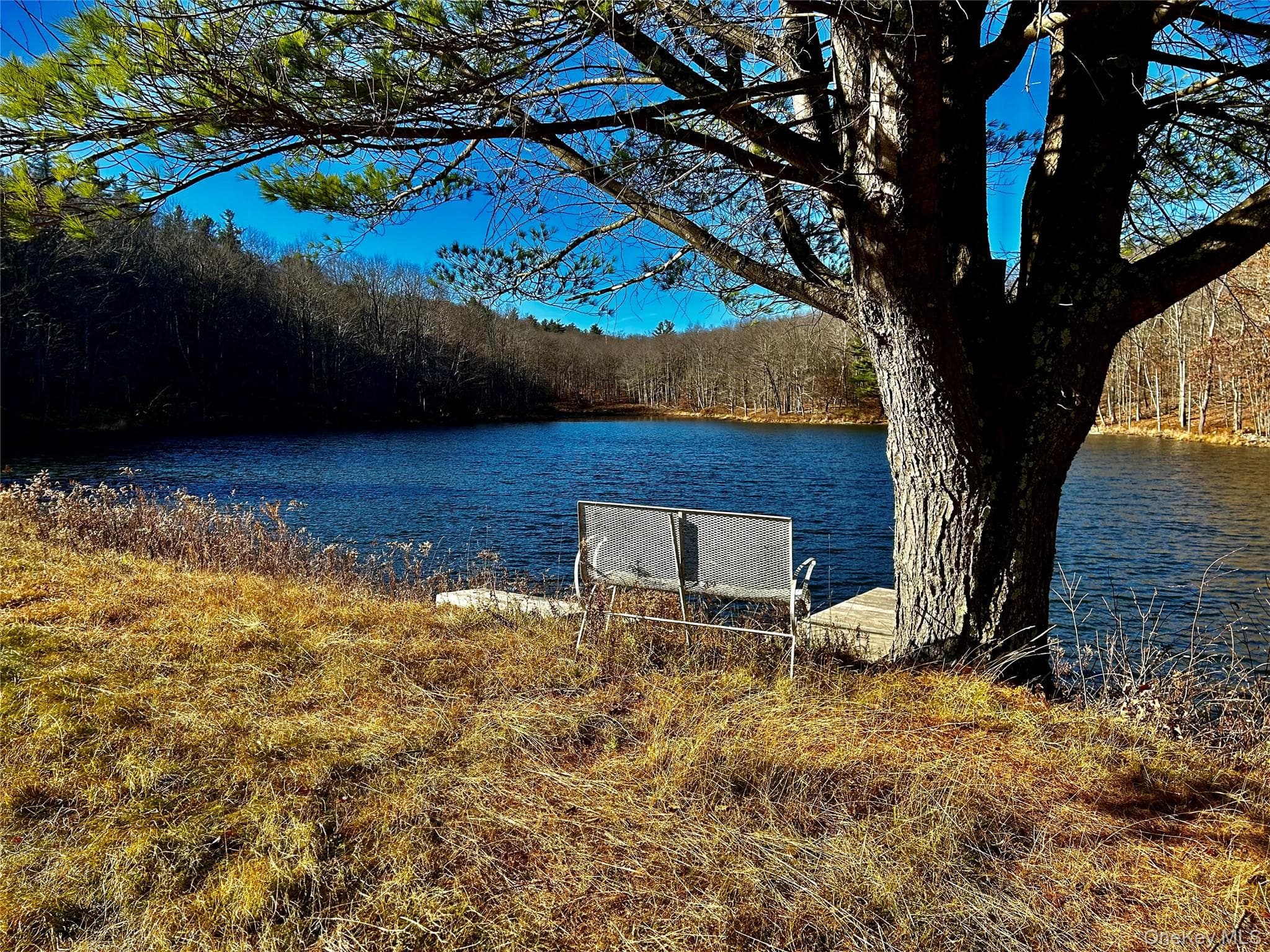 Pond