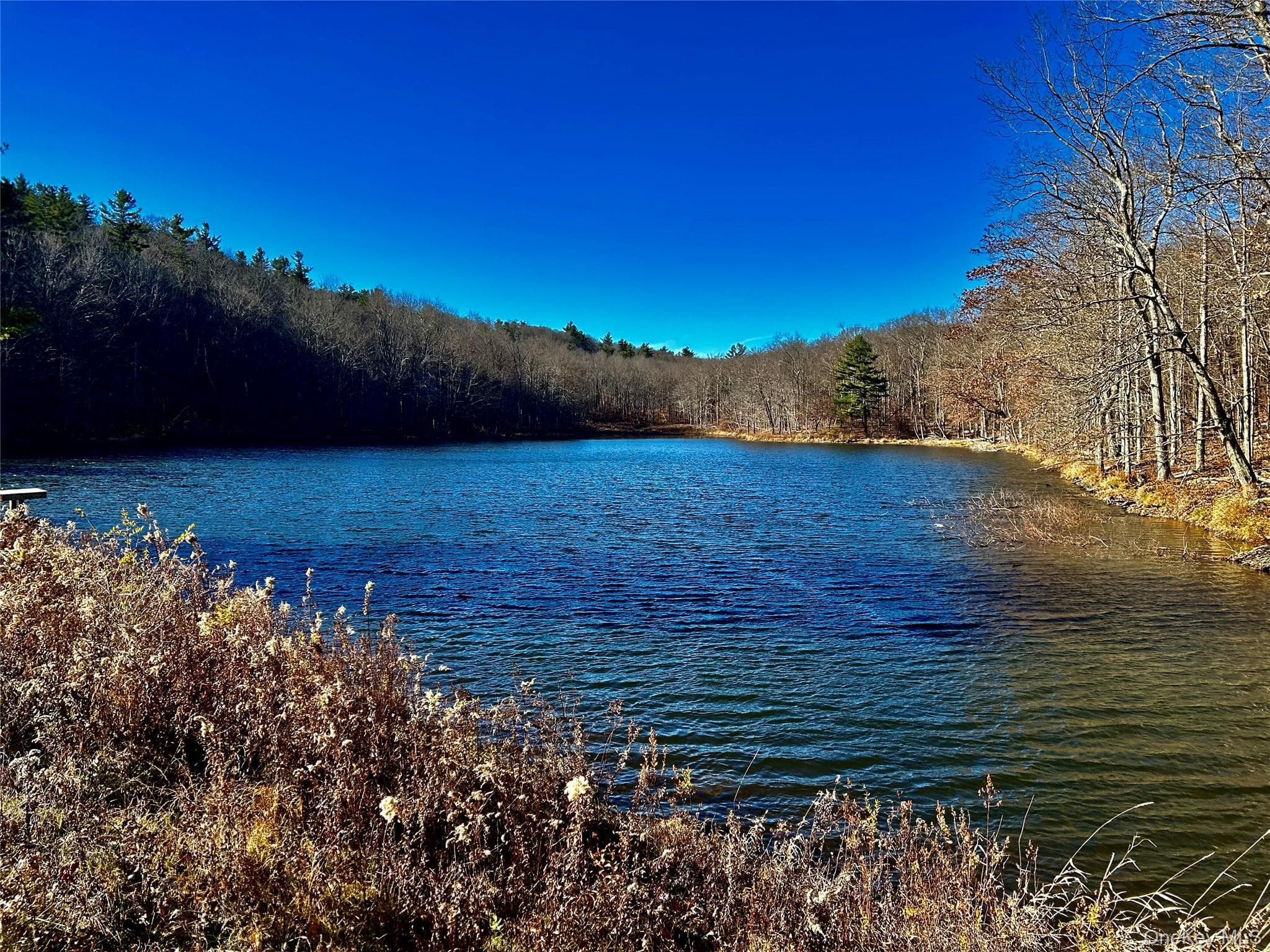 Pond