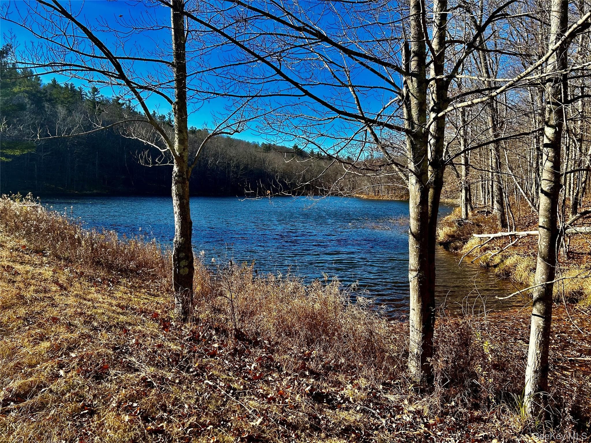 Pond