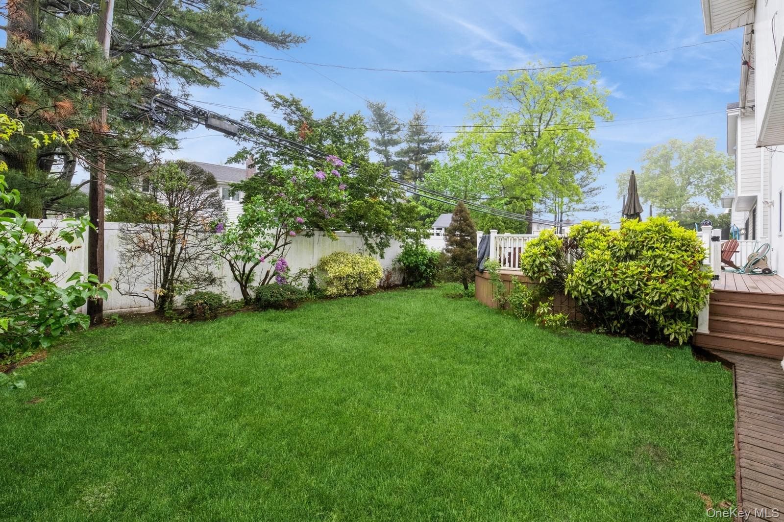 Yard