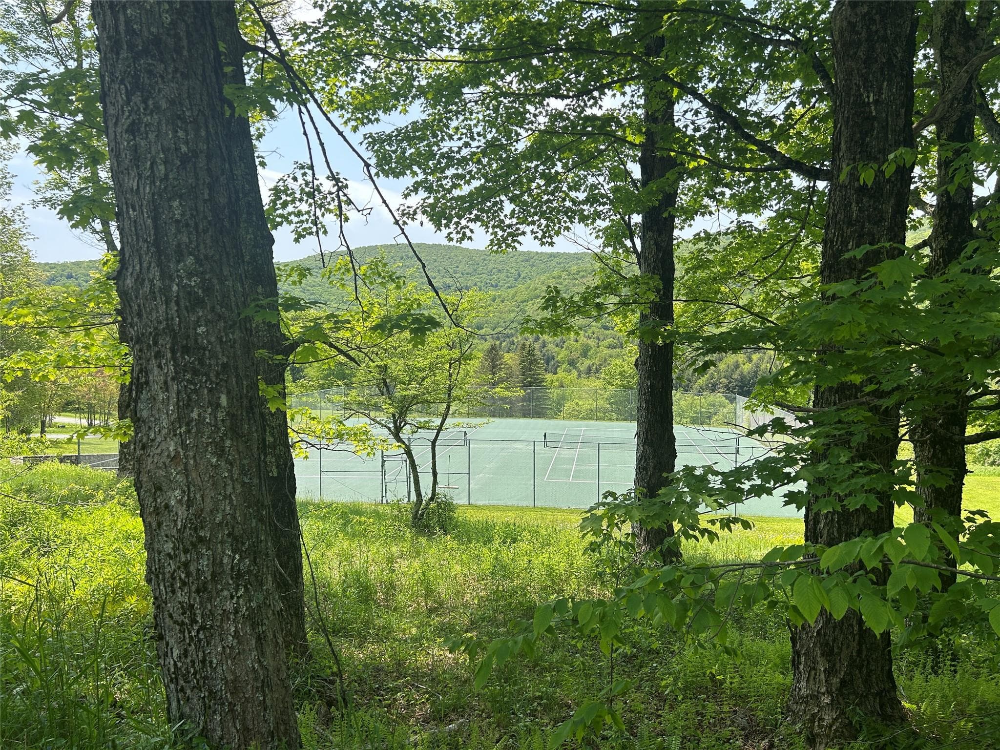 View