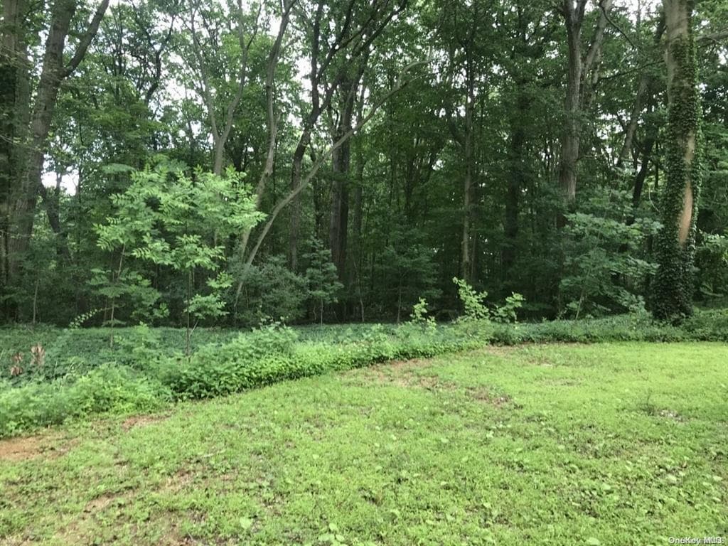 Yard