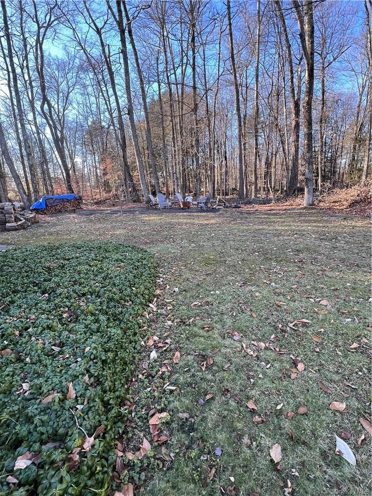 Yard