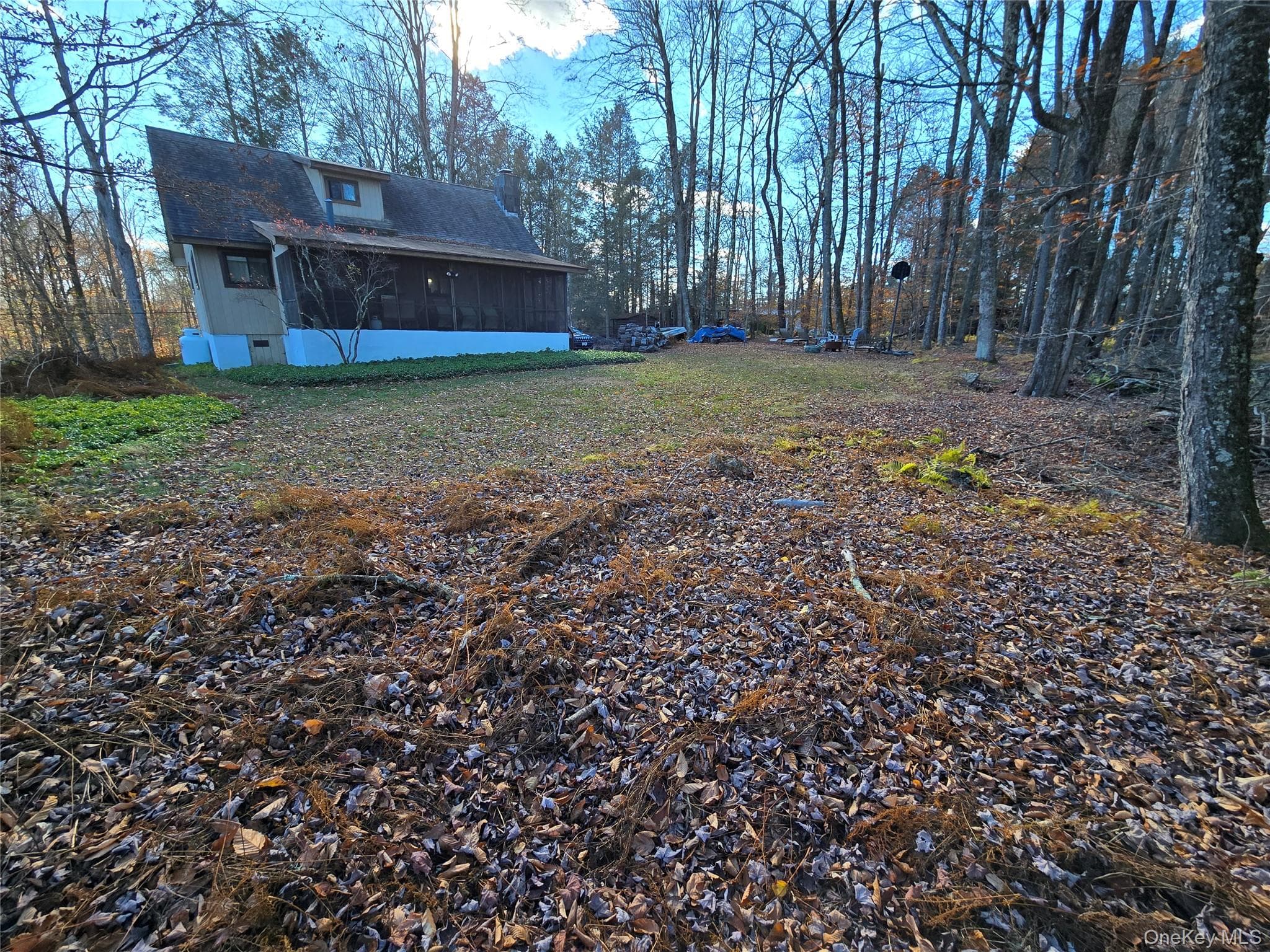 Photo 22