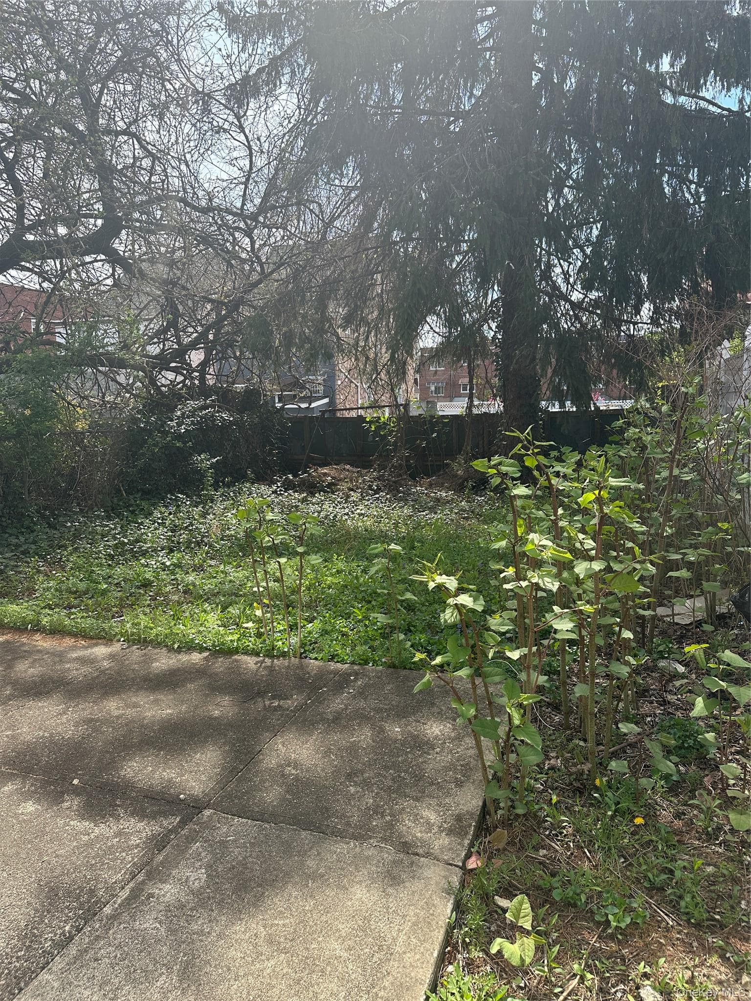 Yard