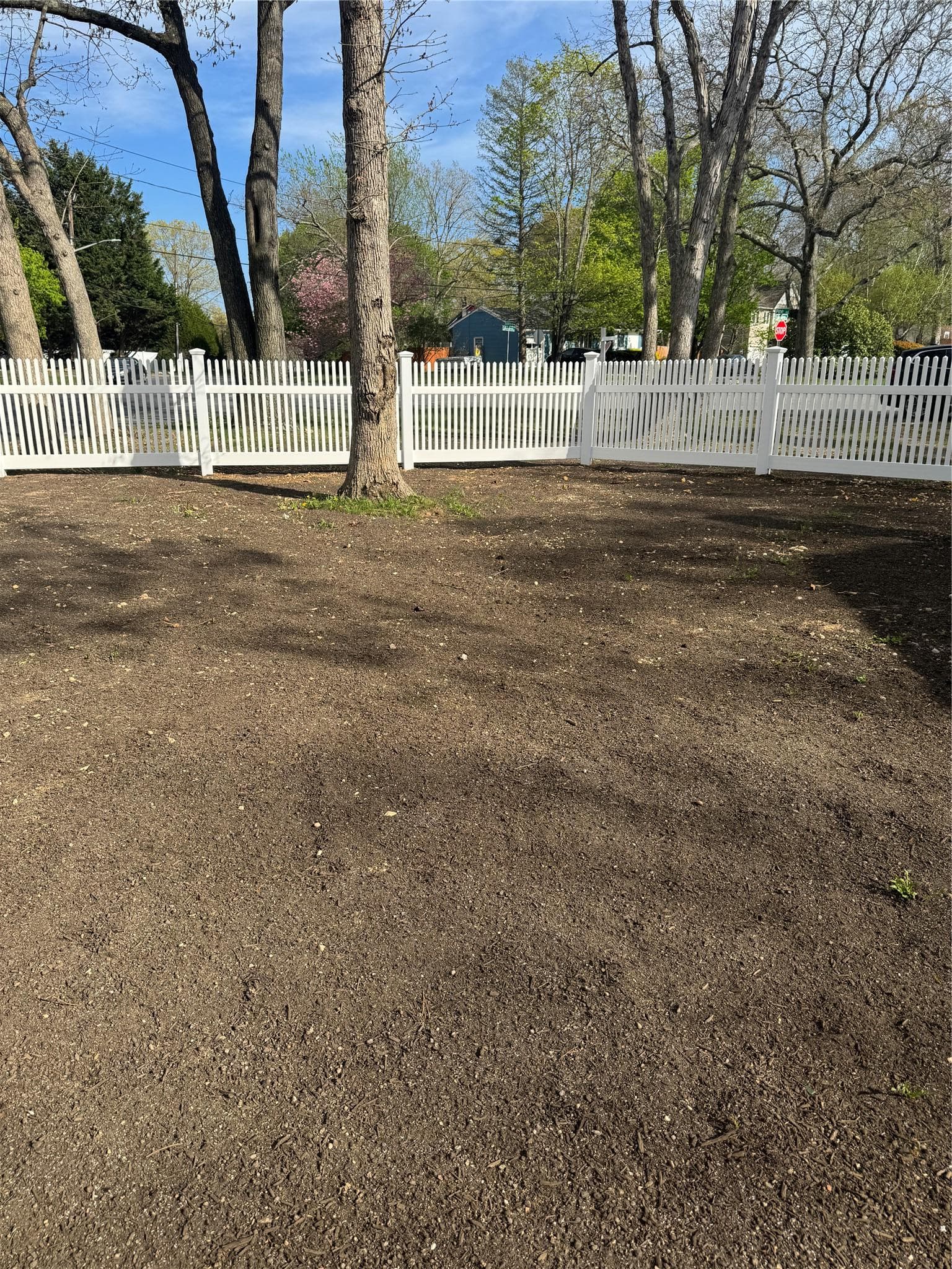 Yard