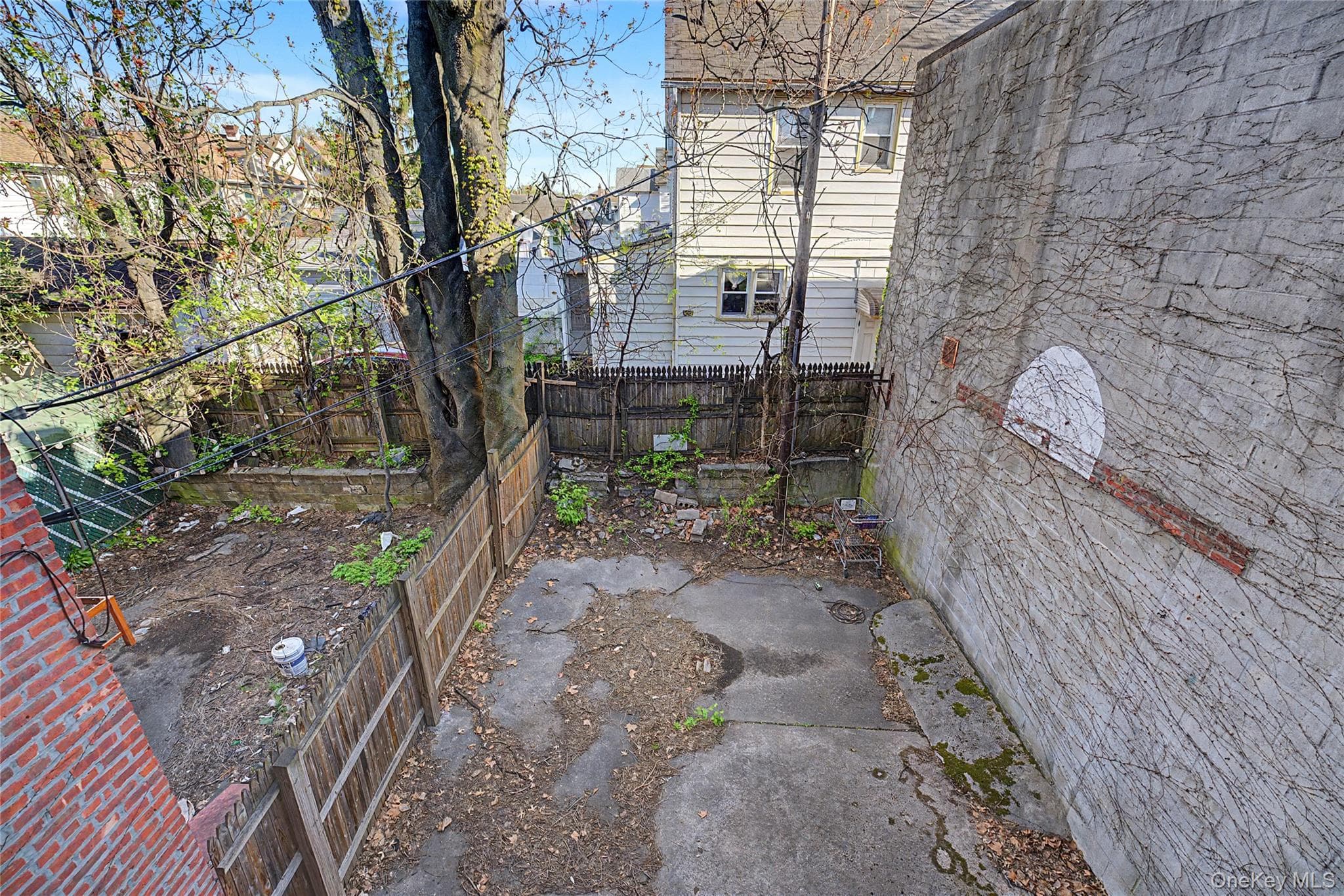 Photo 25