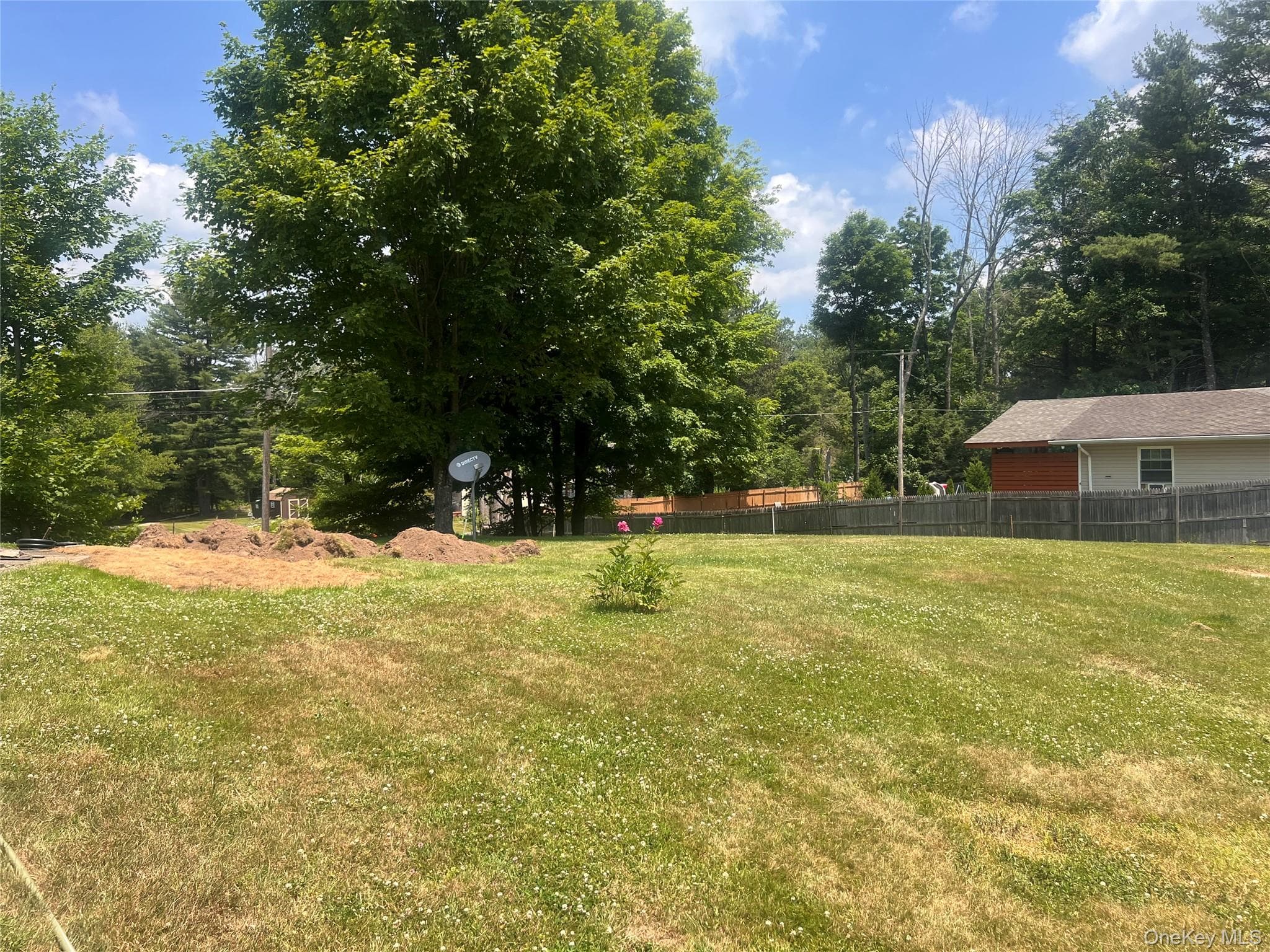 Yard