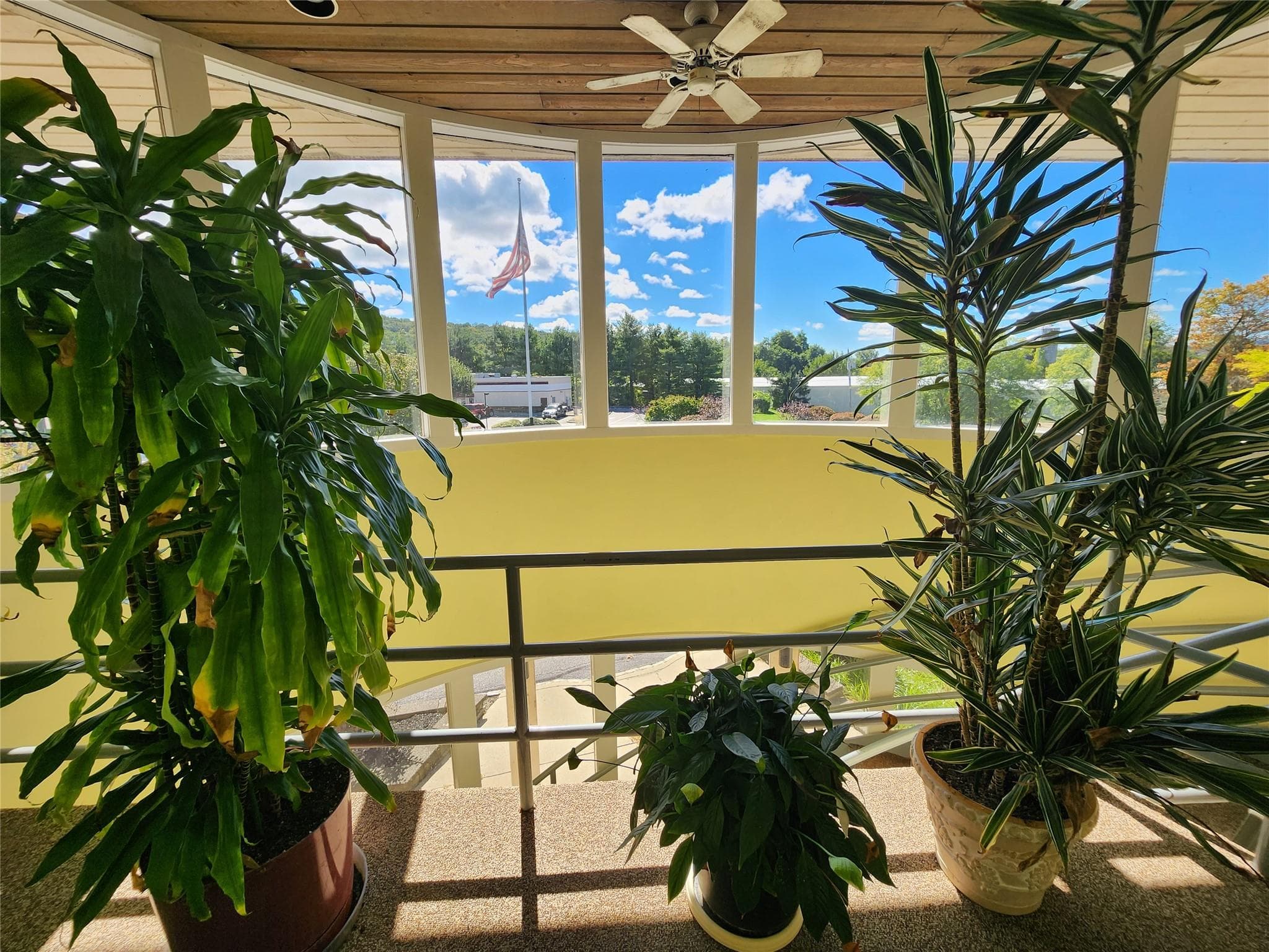 Sun Room