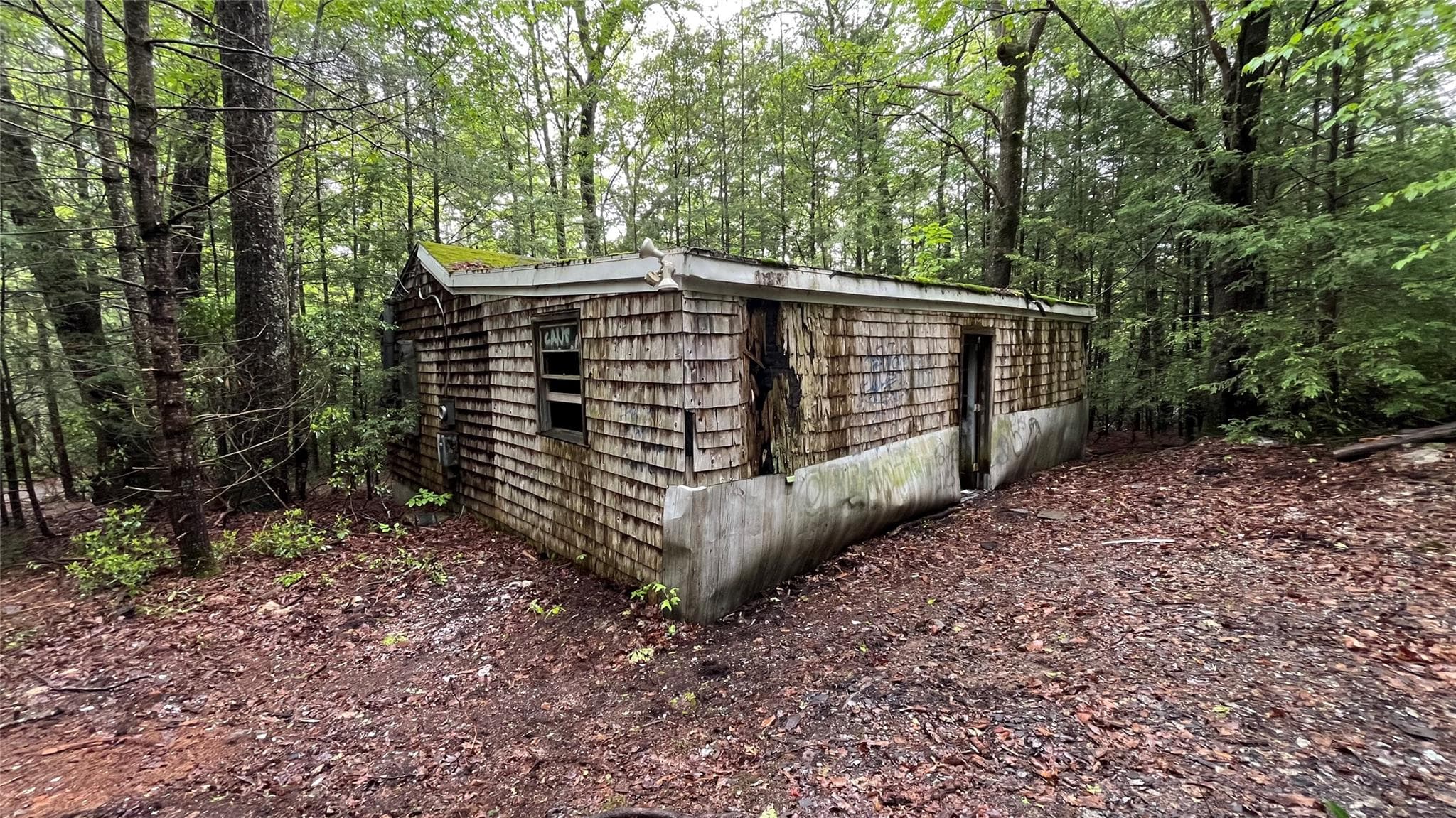 Back of Structure