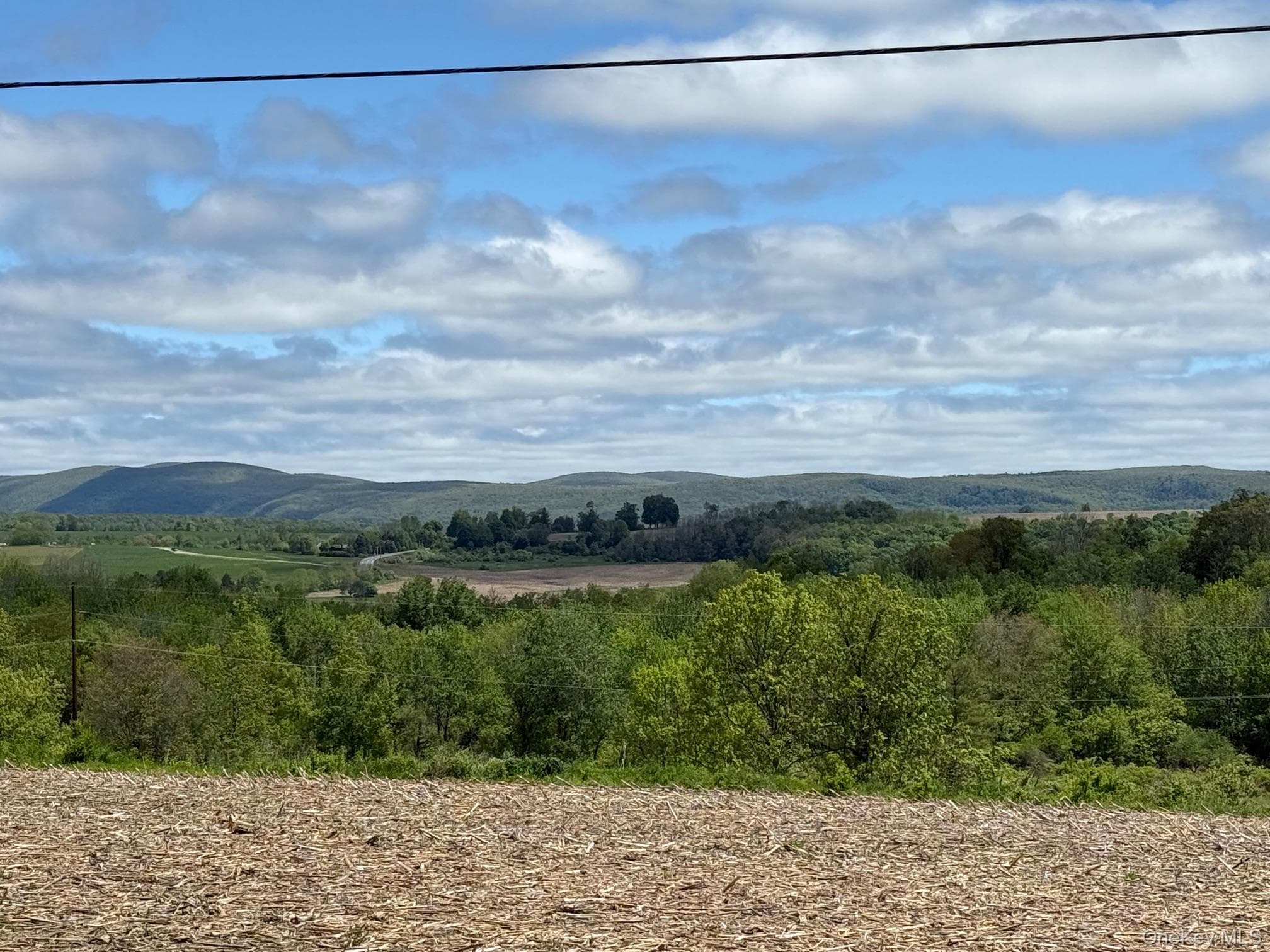 View