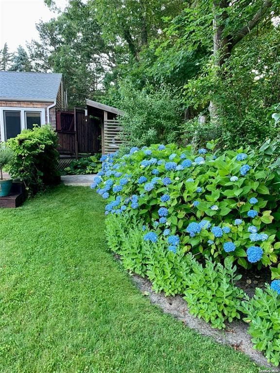 Yard
