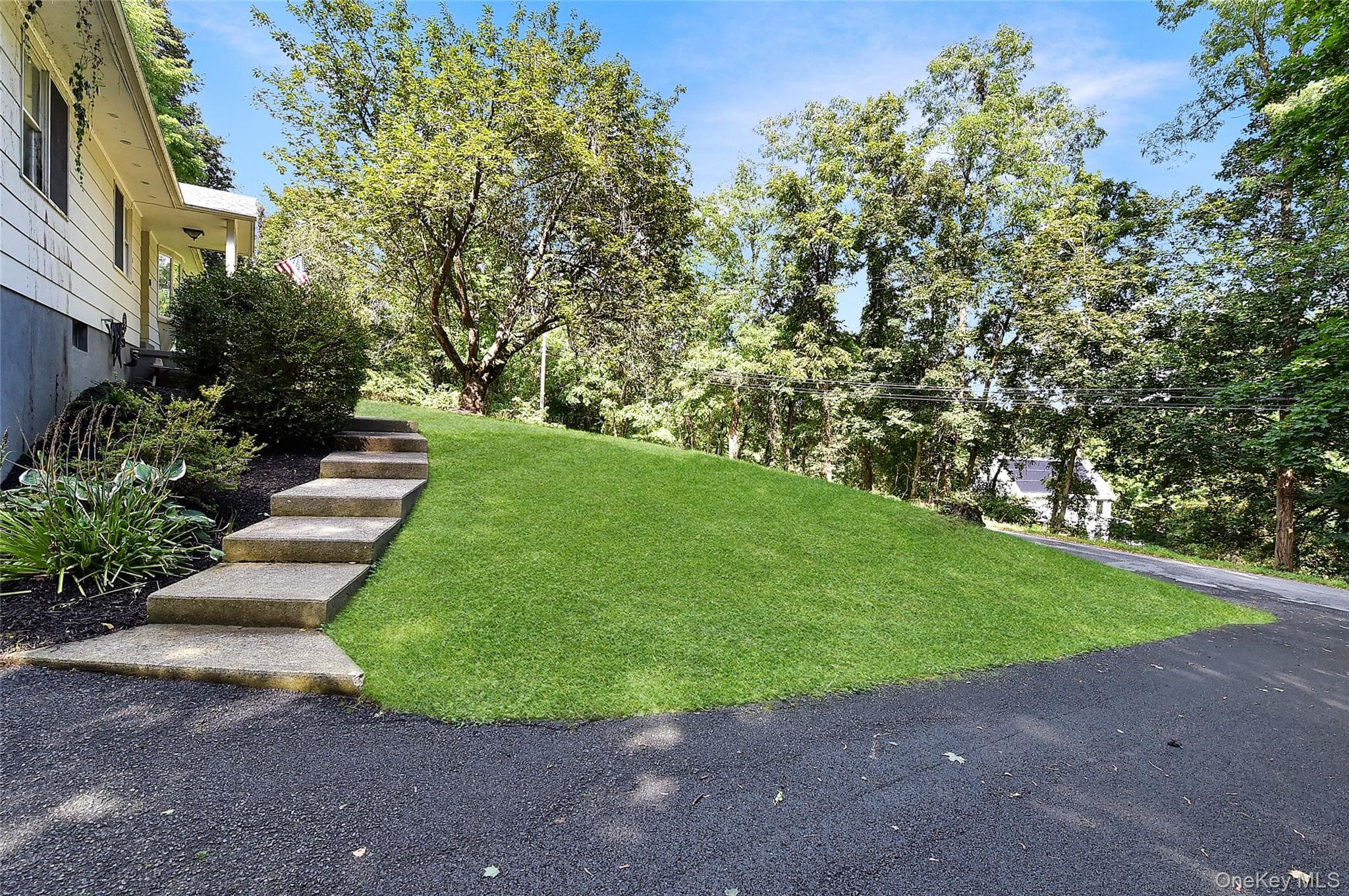 Yard