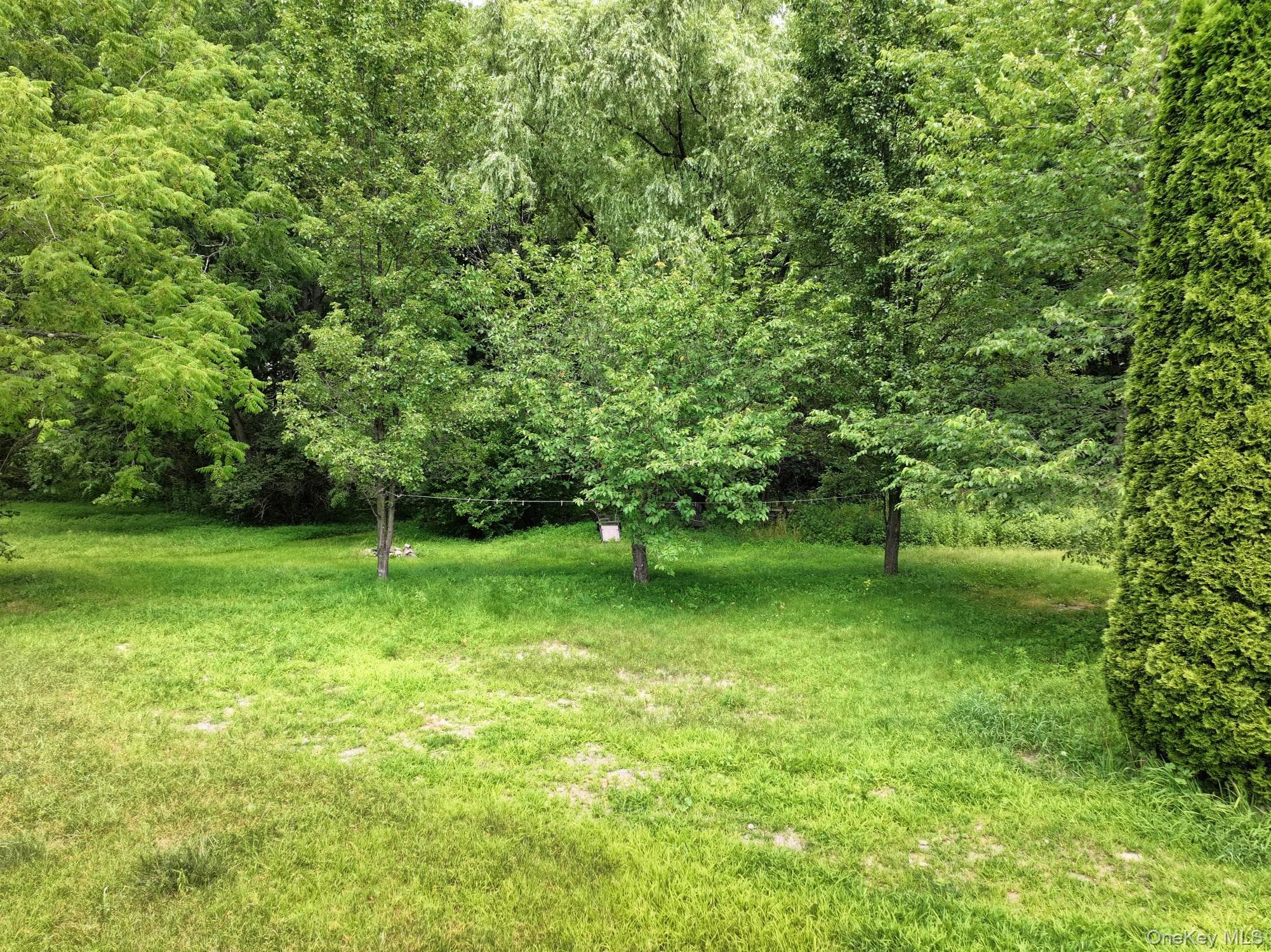 Yard