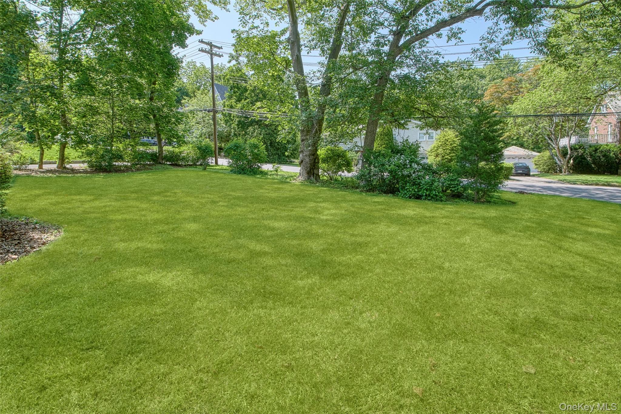 Yard