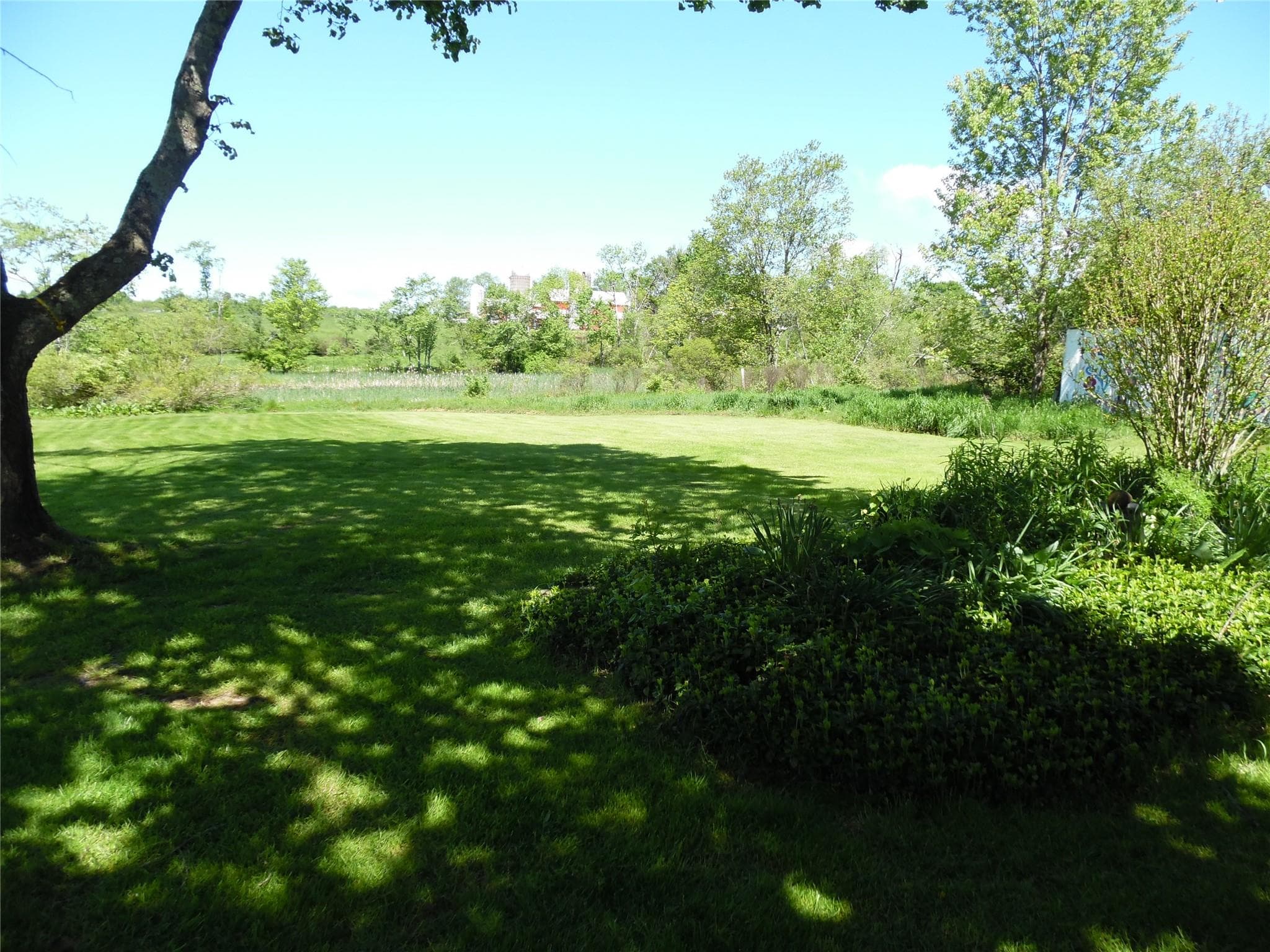 Yard