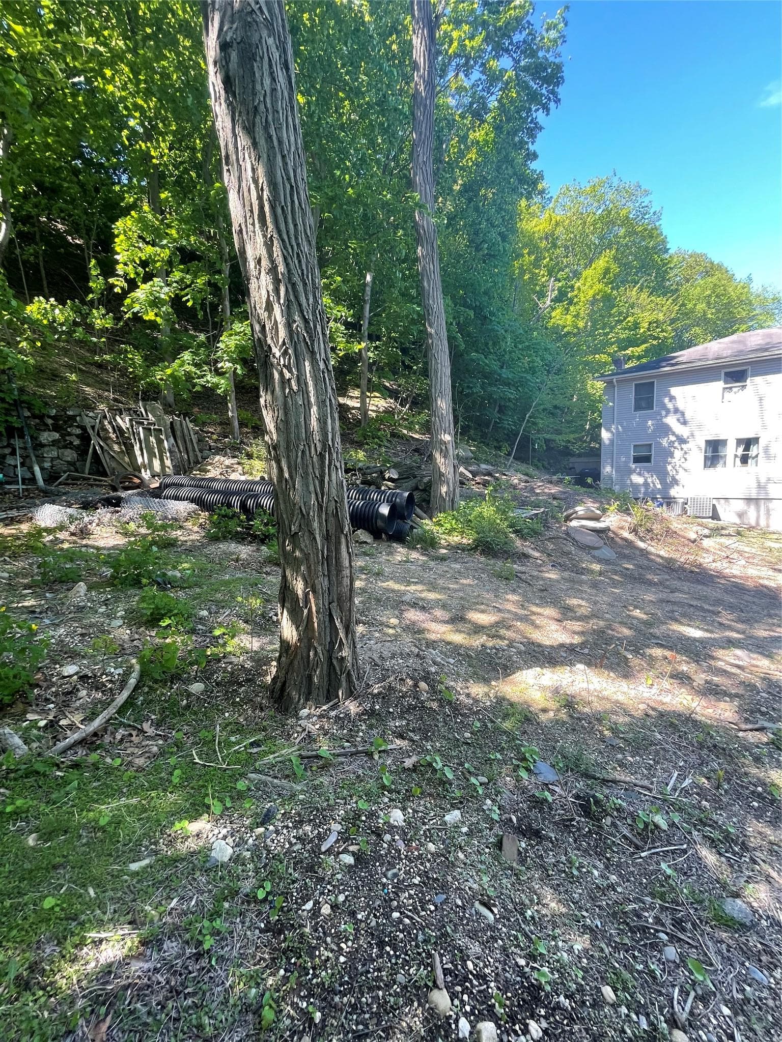 Yard
