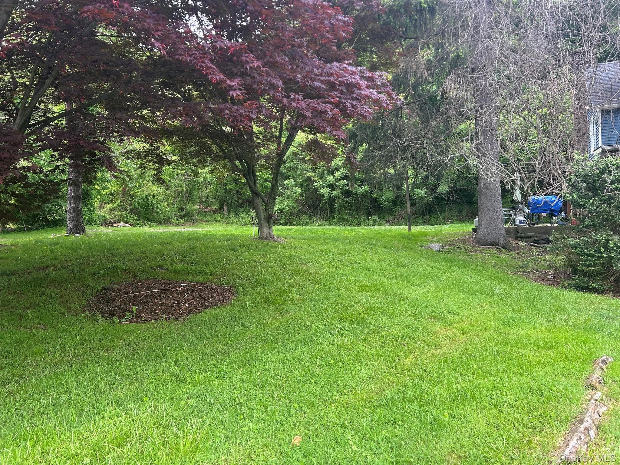 Yard