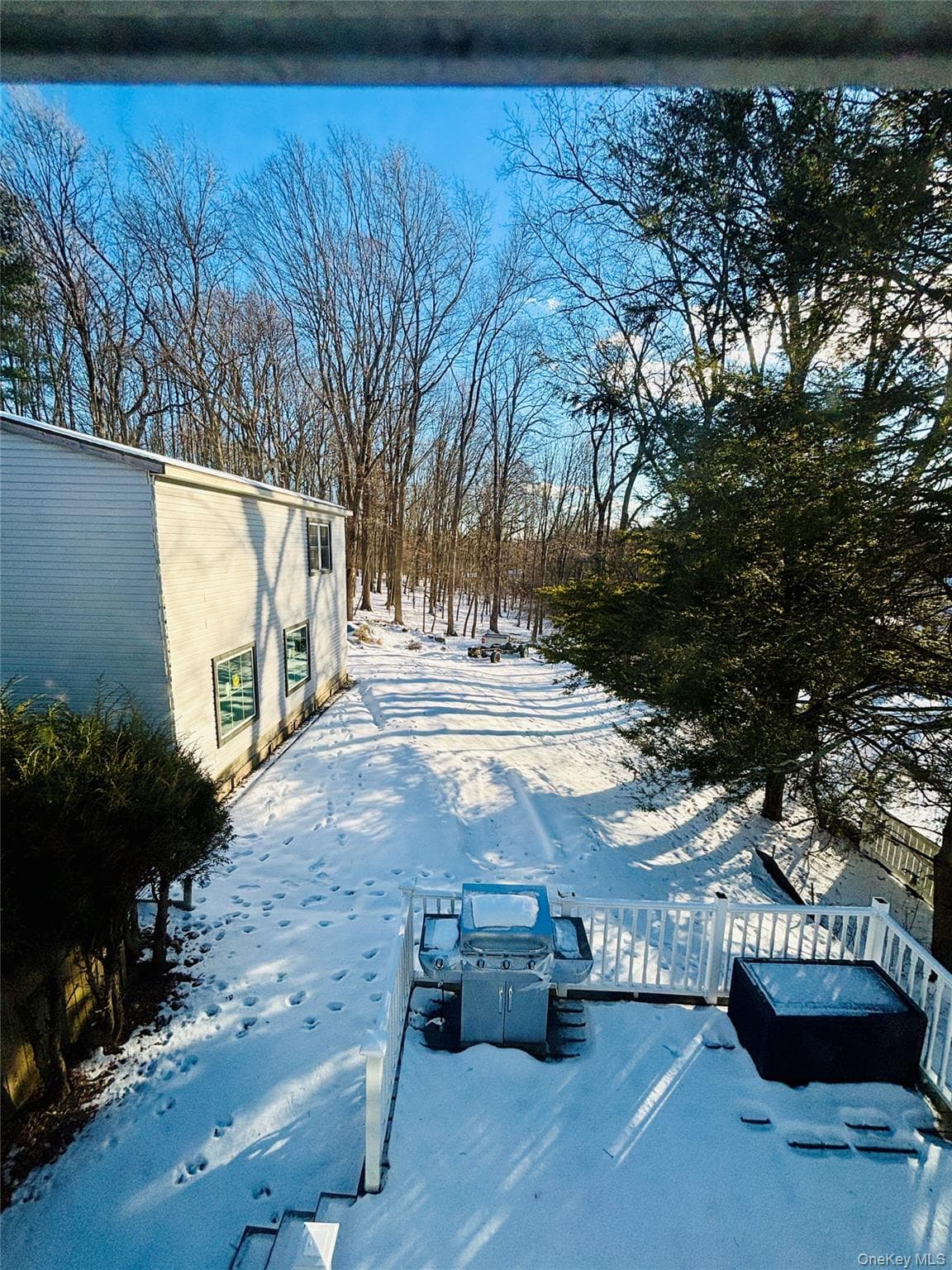 Yard