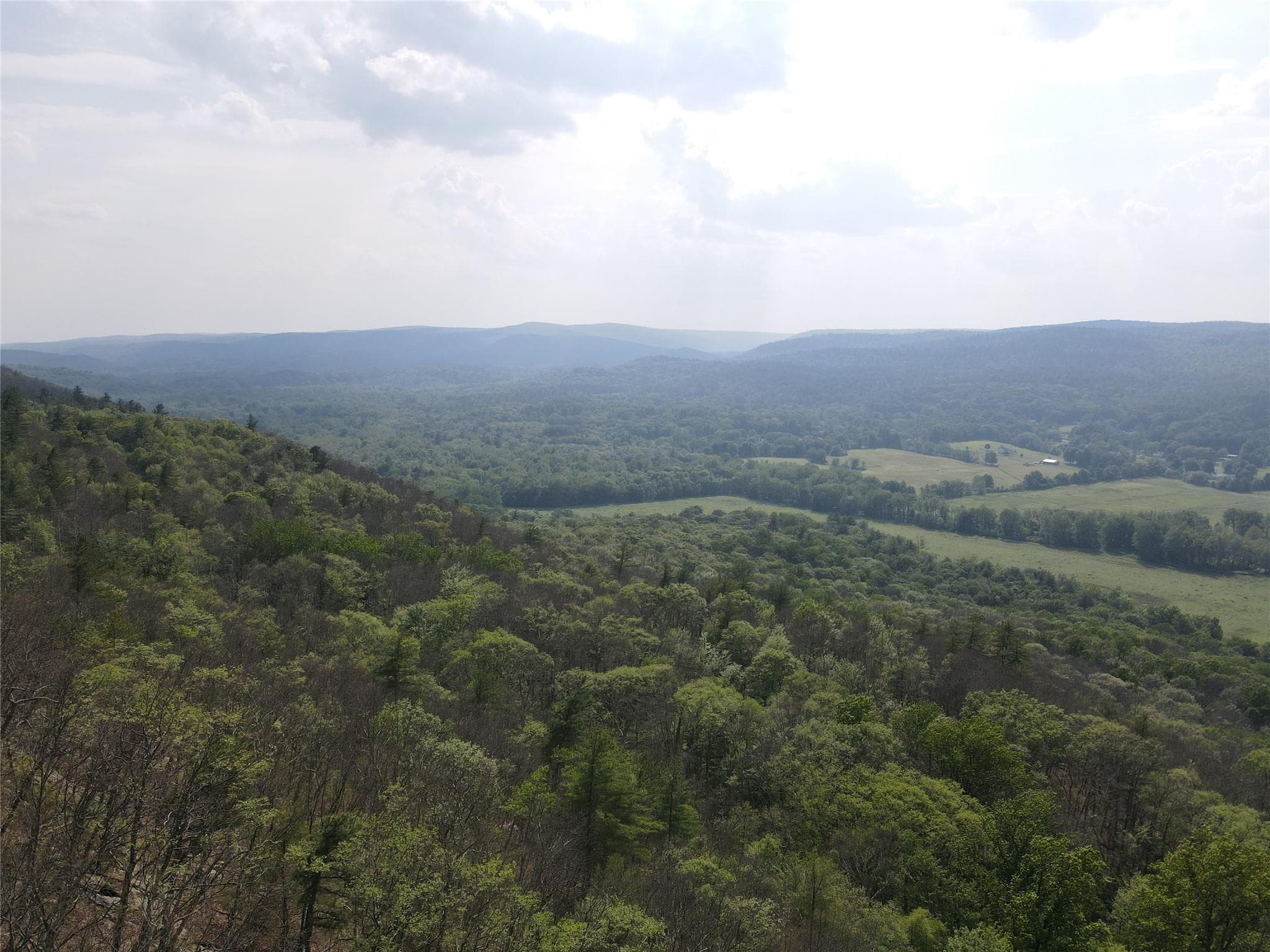 View