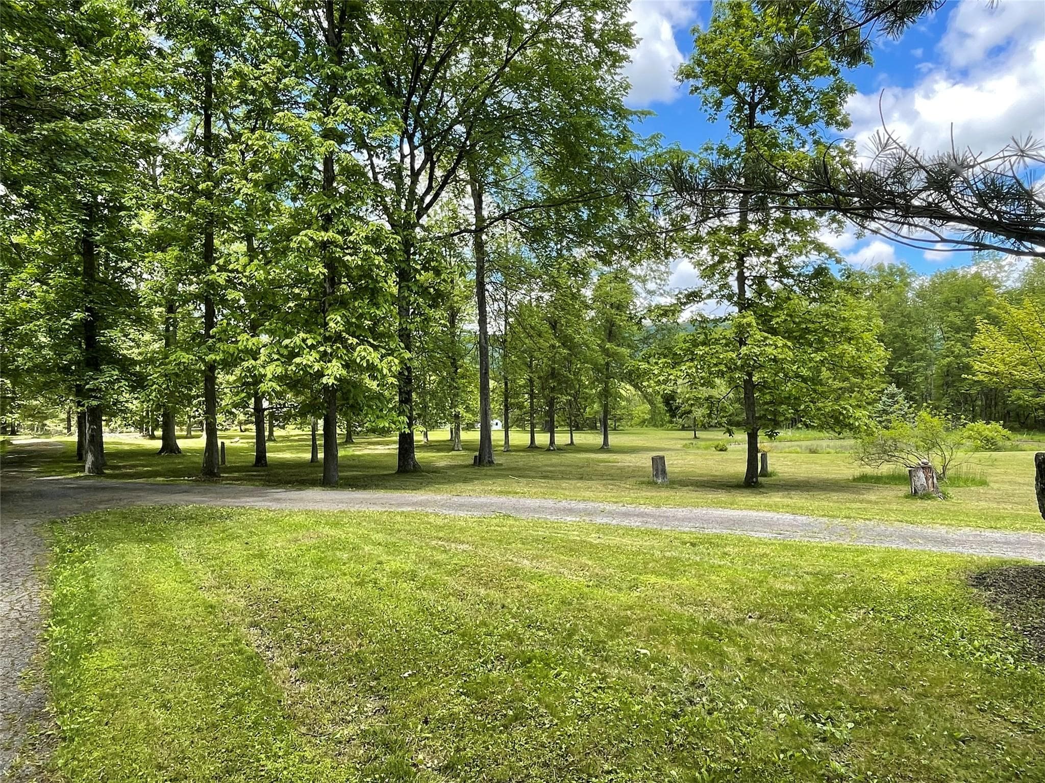 Yard