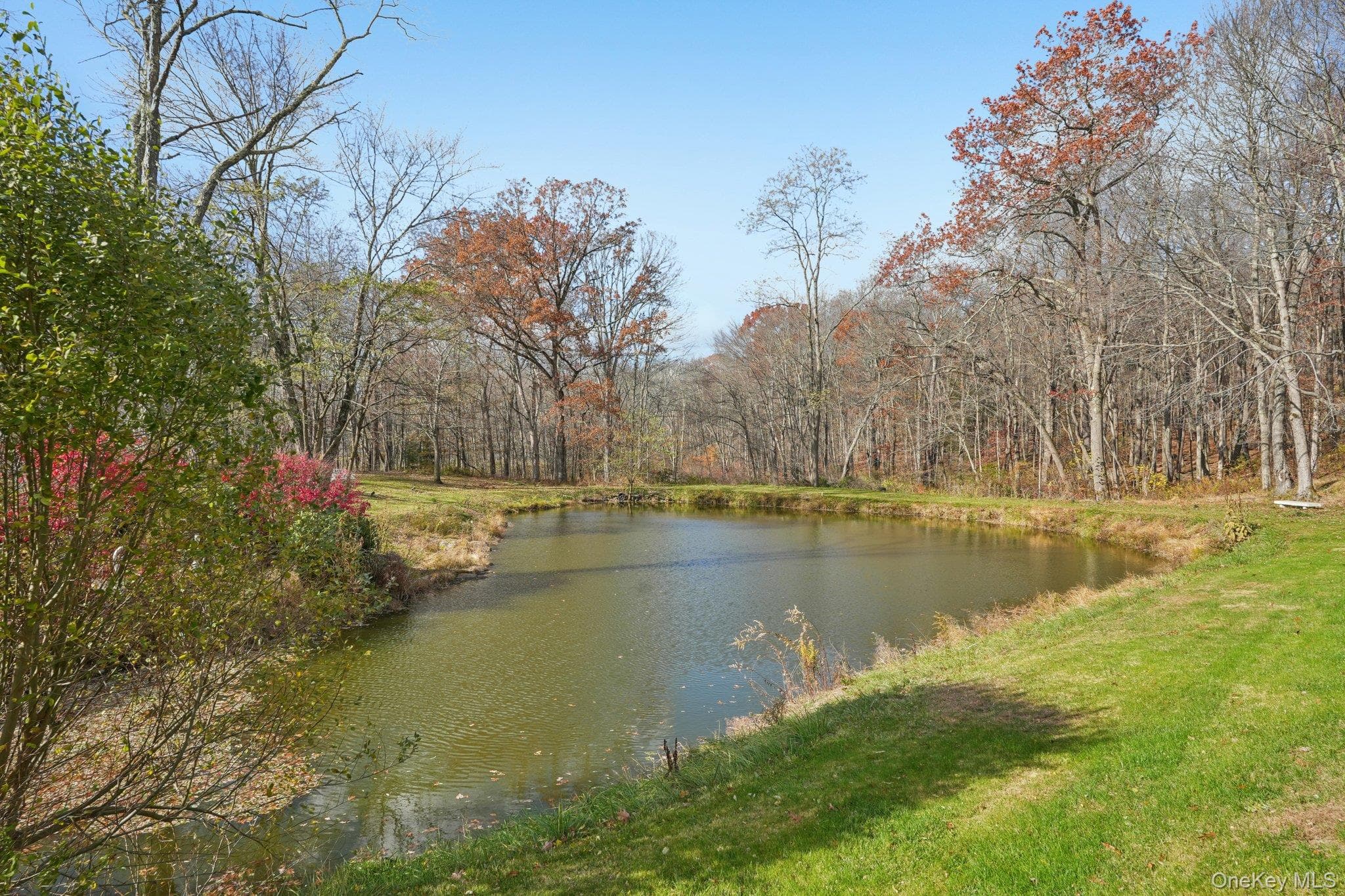 Pond