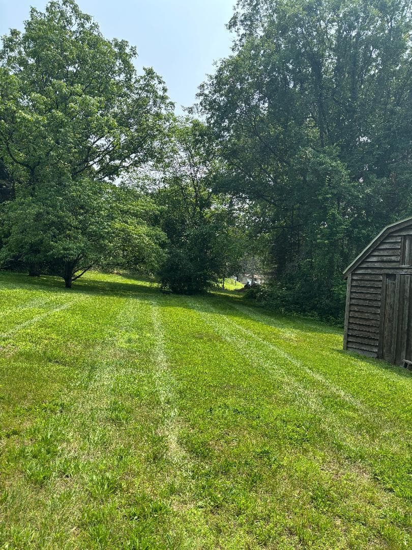Yard