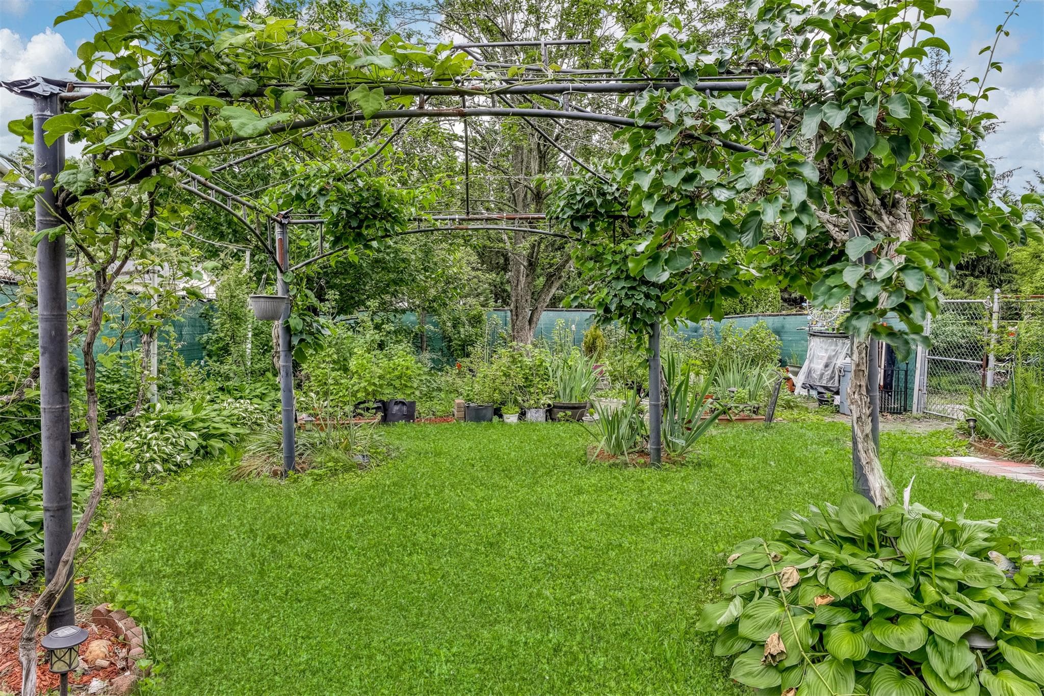 Yard