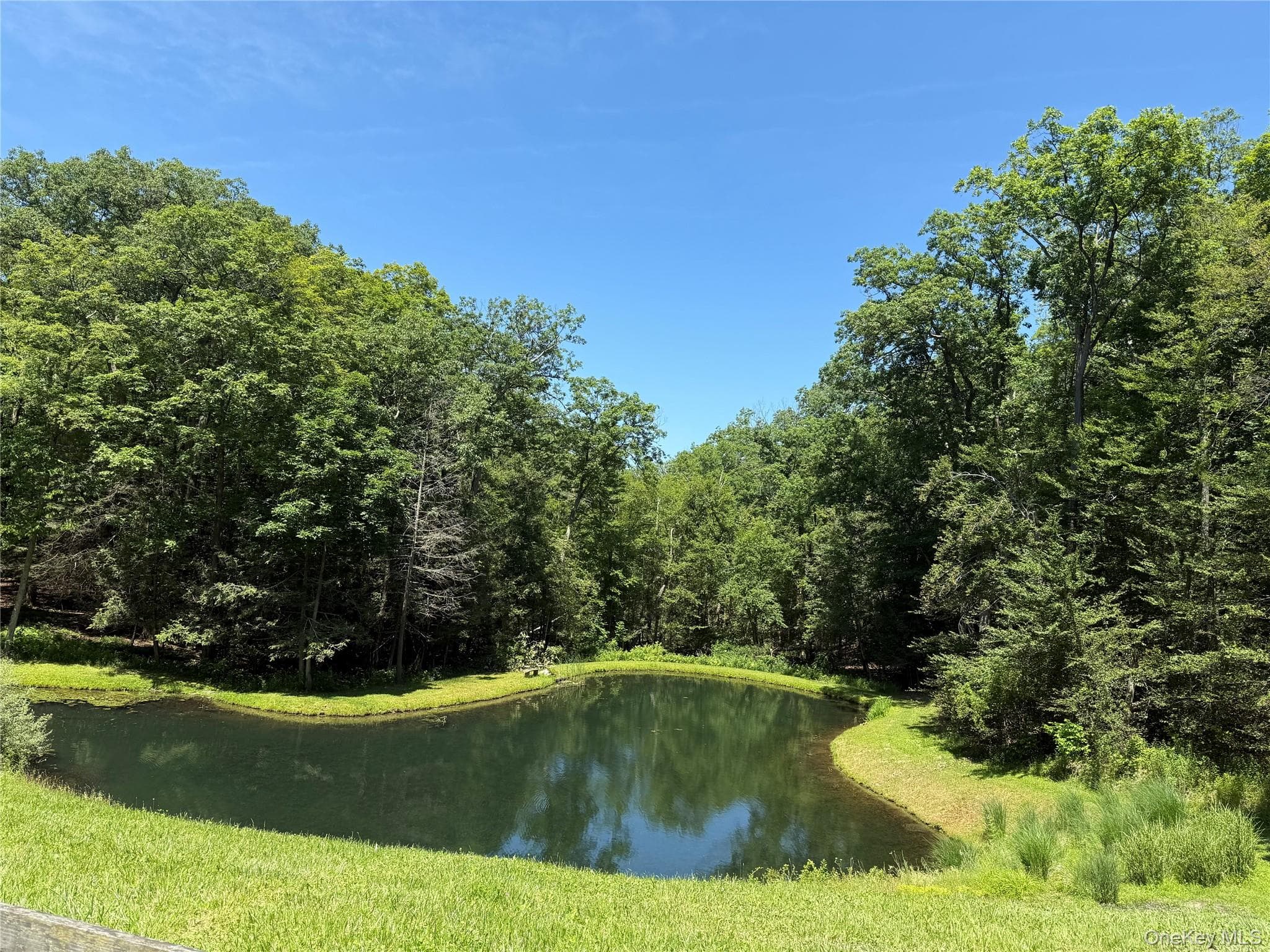 Pond