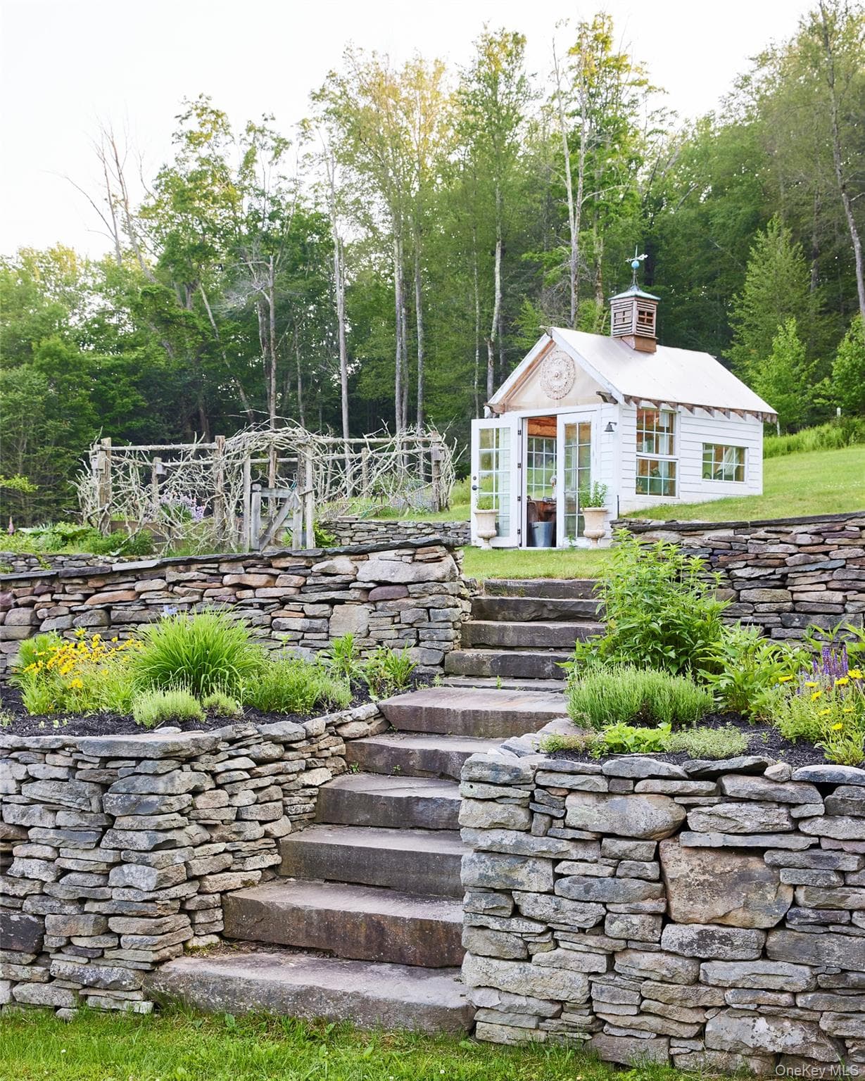 Yard