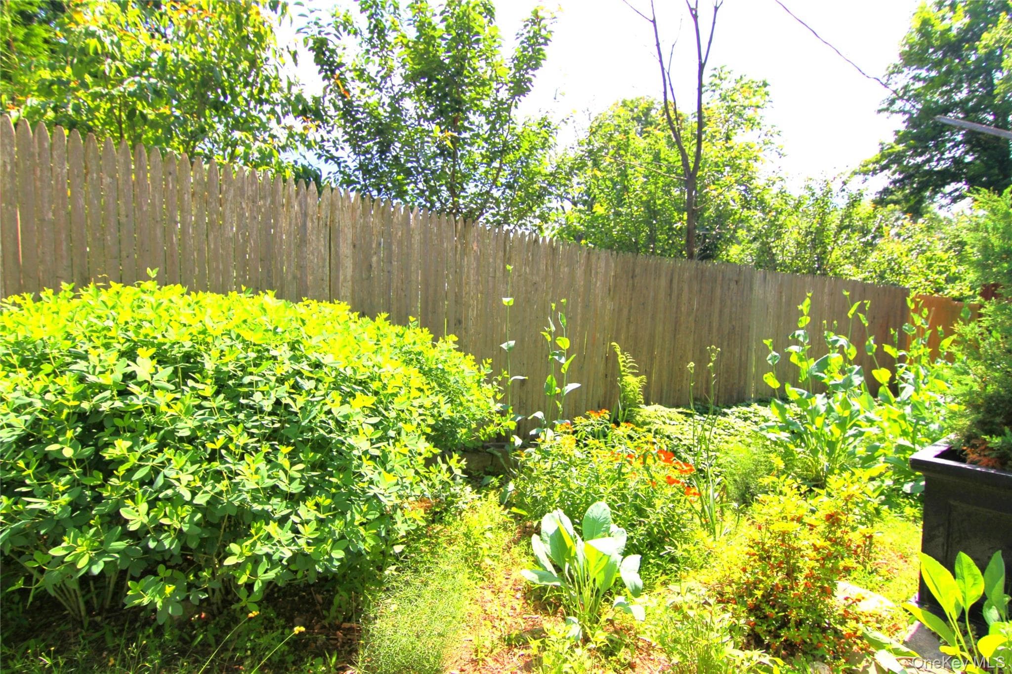 Yard