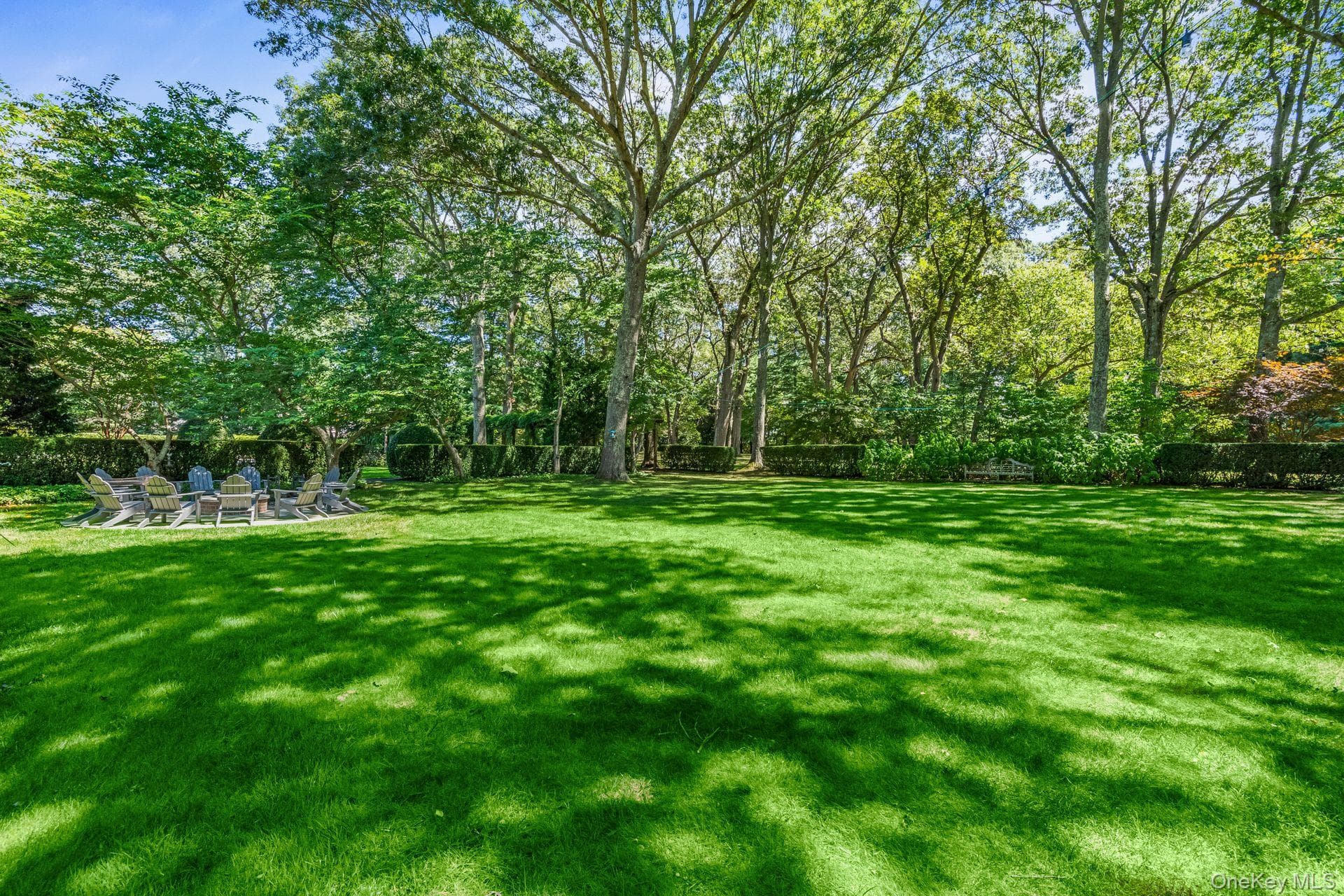 Yard