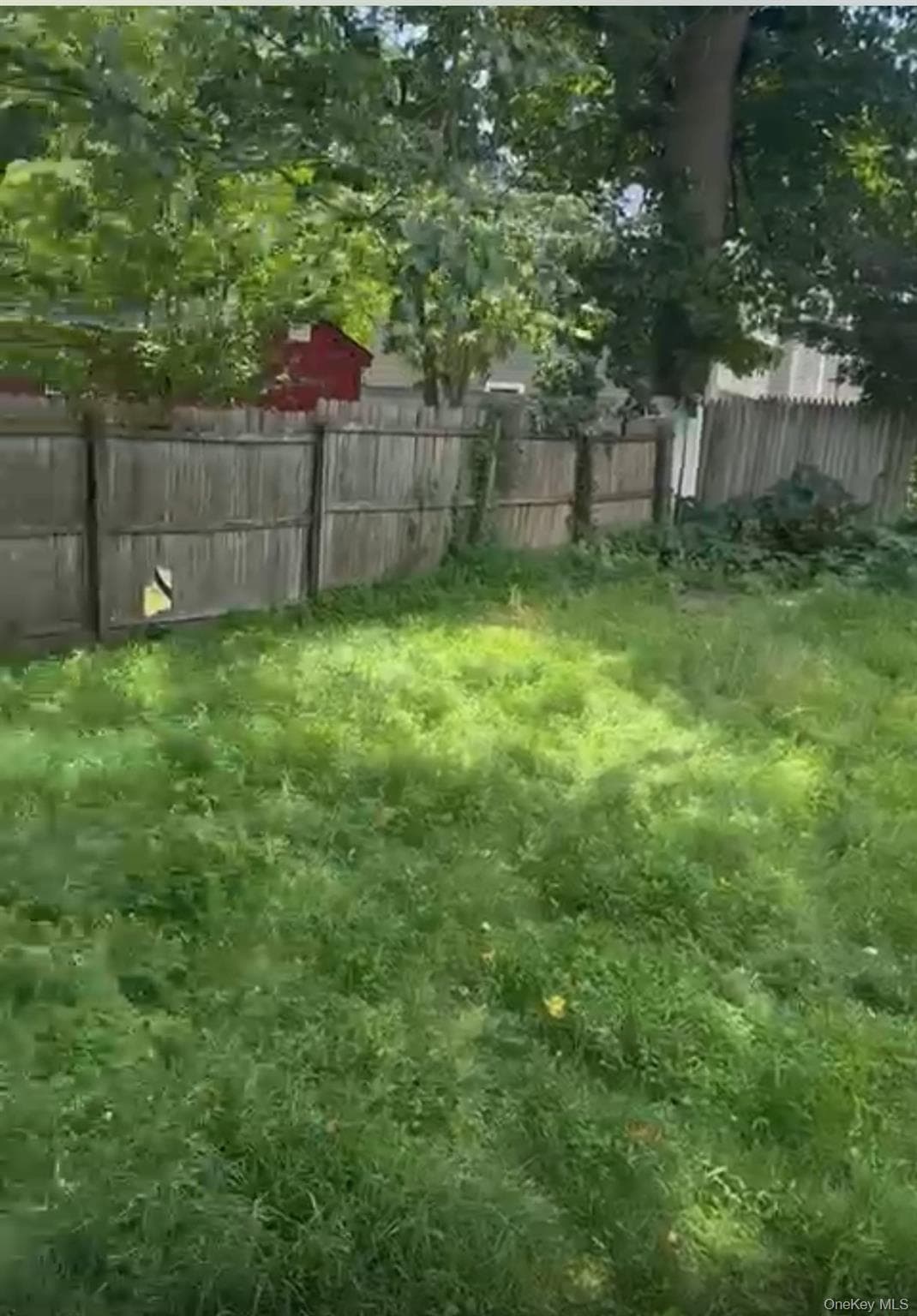 Yard