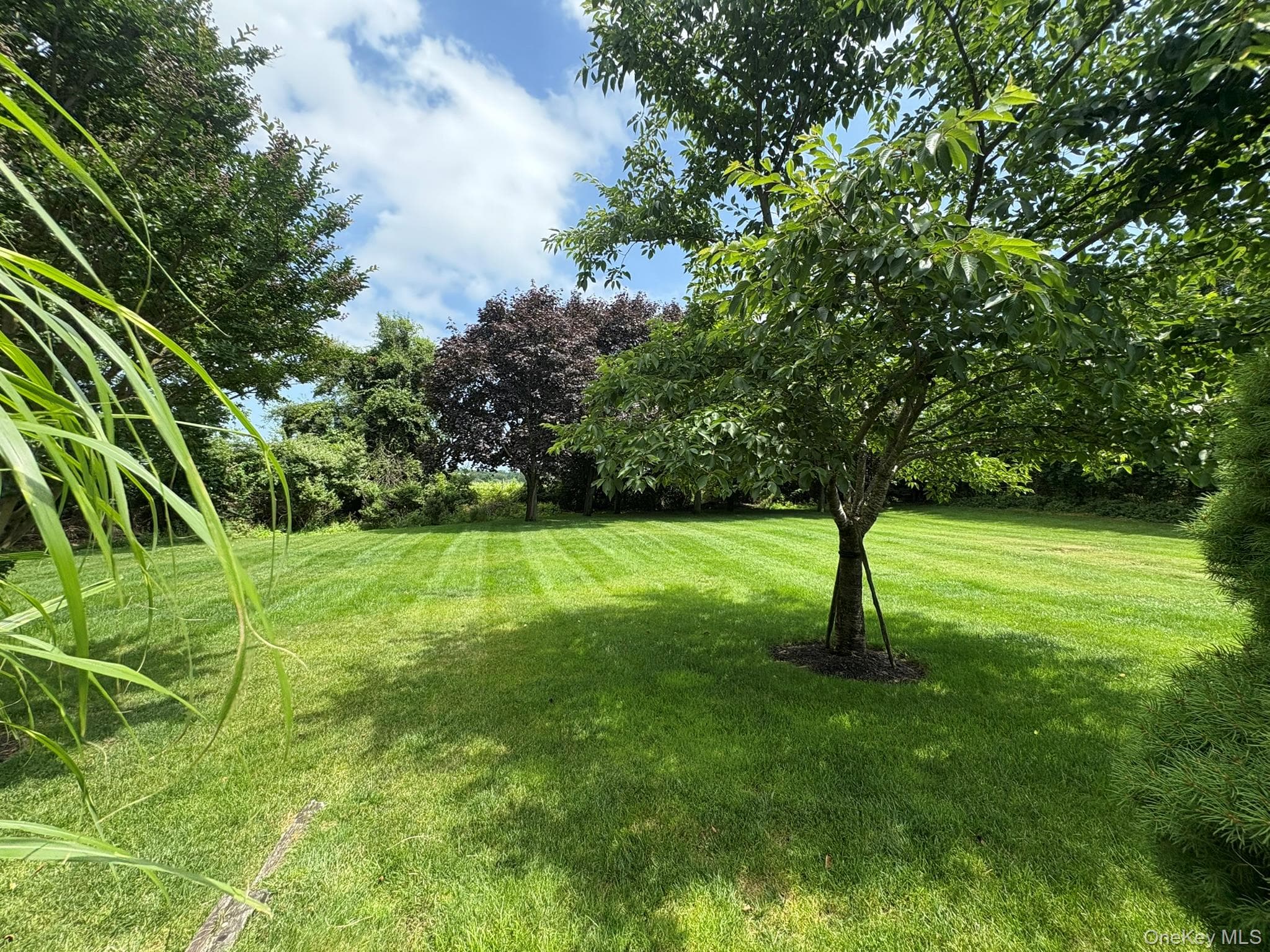 Yard